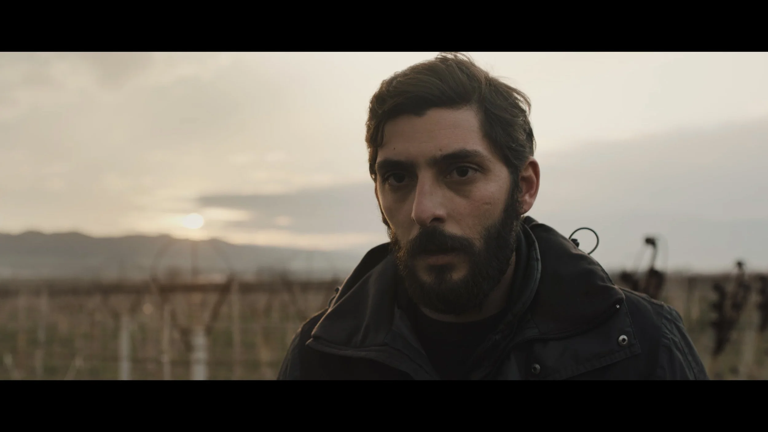 Still 2026-03-03 163751_1.1.29.jpg