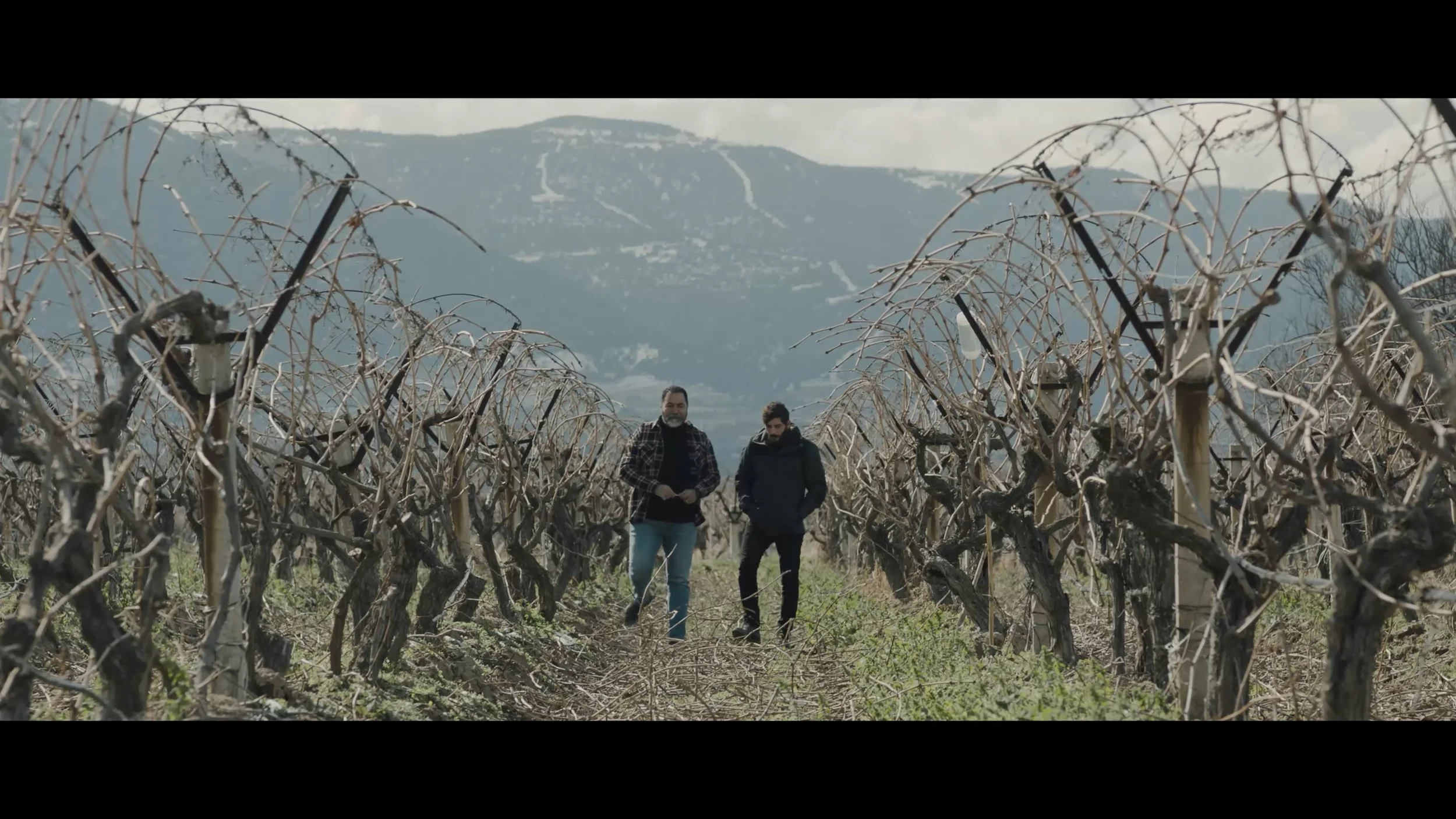 Still 2026-03-03 163751_1.1.10.jpg