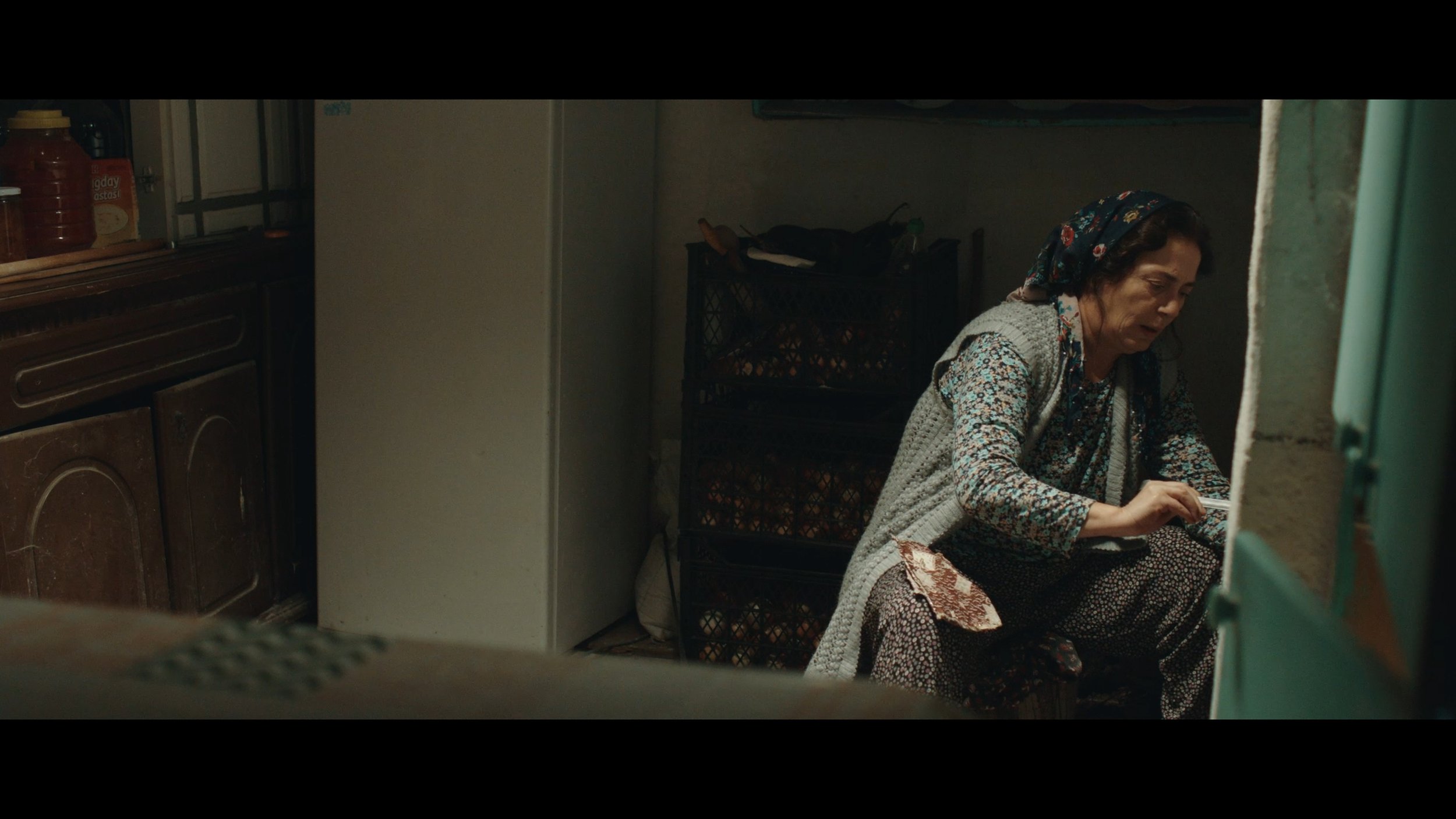 Still 2026-03-03 155727_1.1.5.jpg