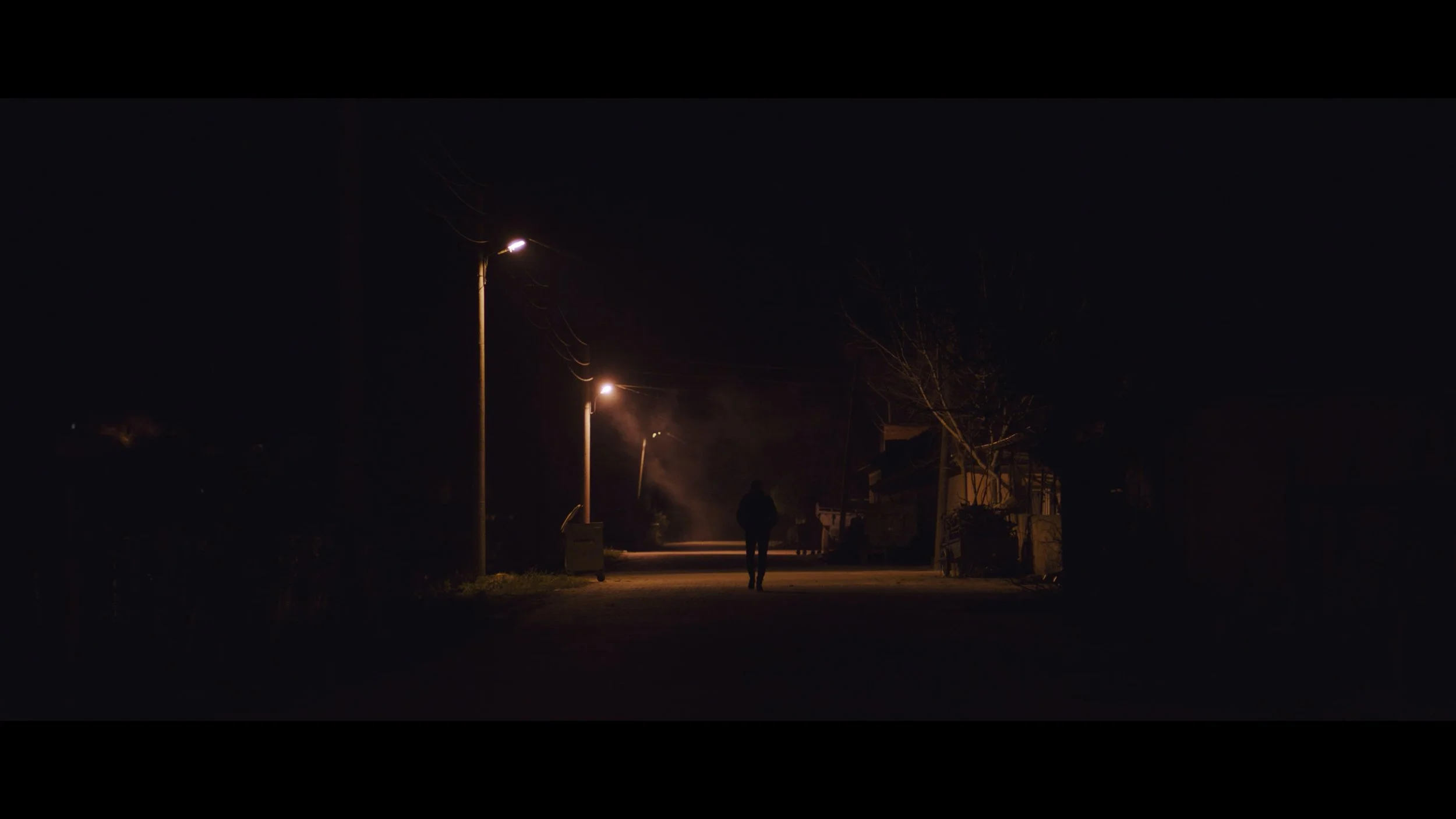 Still 2026-03-03 163751_1.1.30.jpg