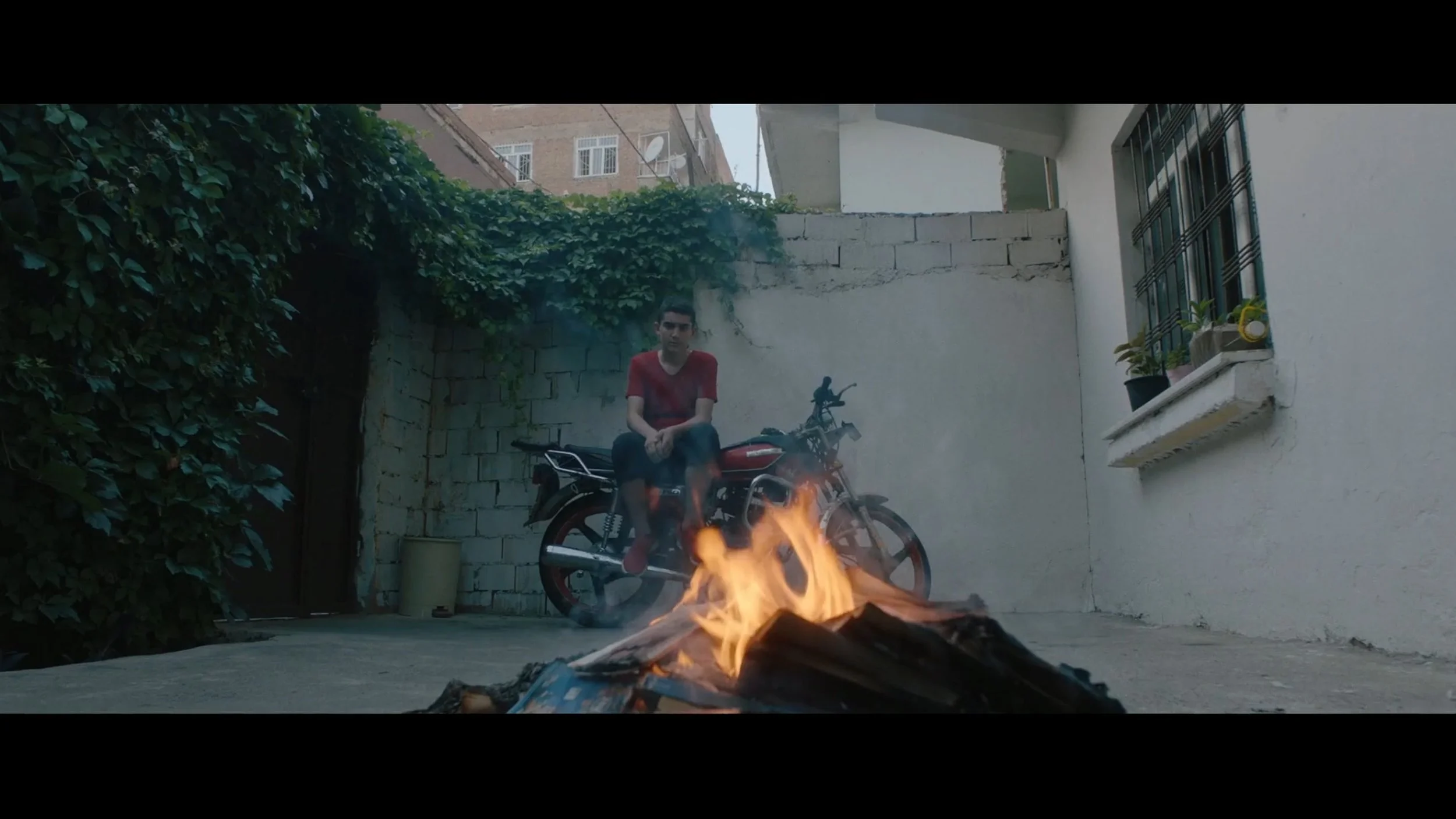 Still 2026-03-03 161155_1.1.21.jpg