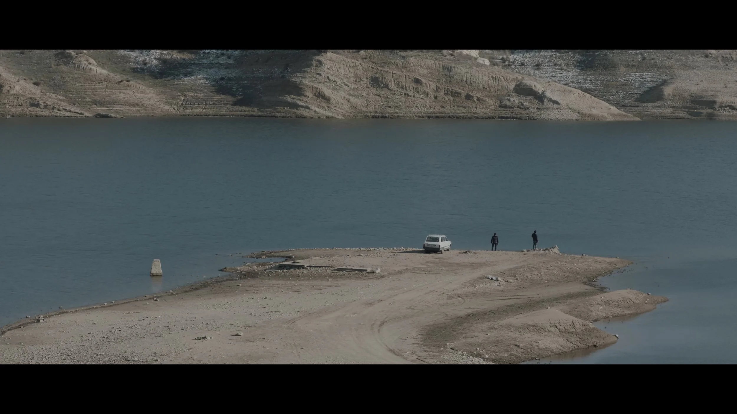 Still 2026-03-03 163751_1.1.23.jpg