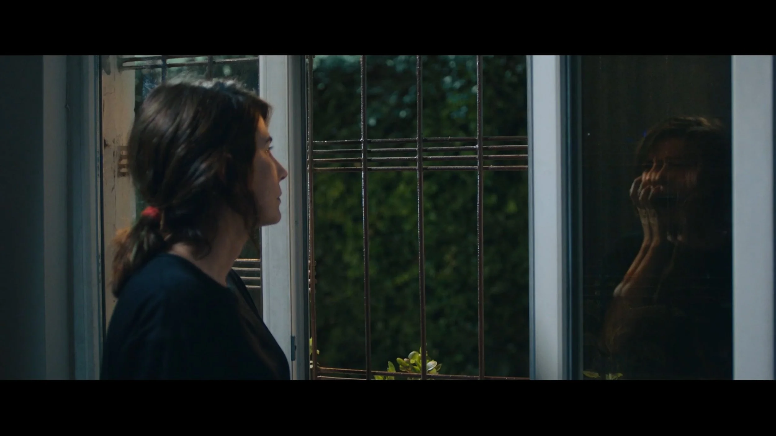 Still 2026-03-03 161155_1.1.23.jpg