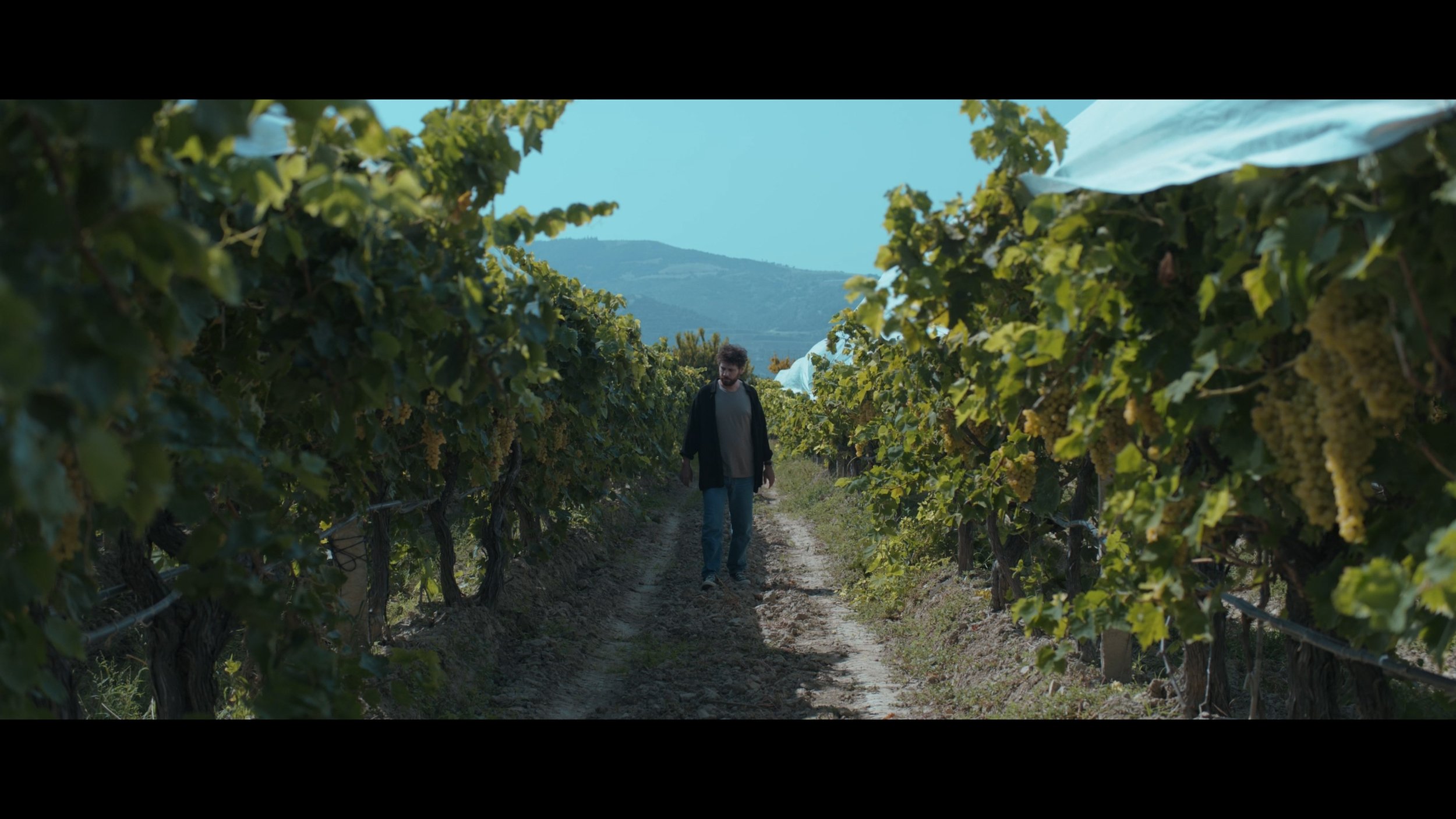 Still 2026-03-03 155727_1.1.26.jpg