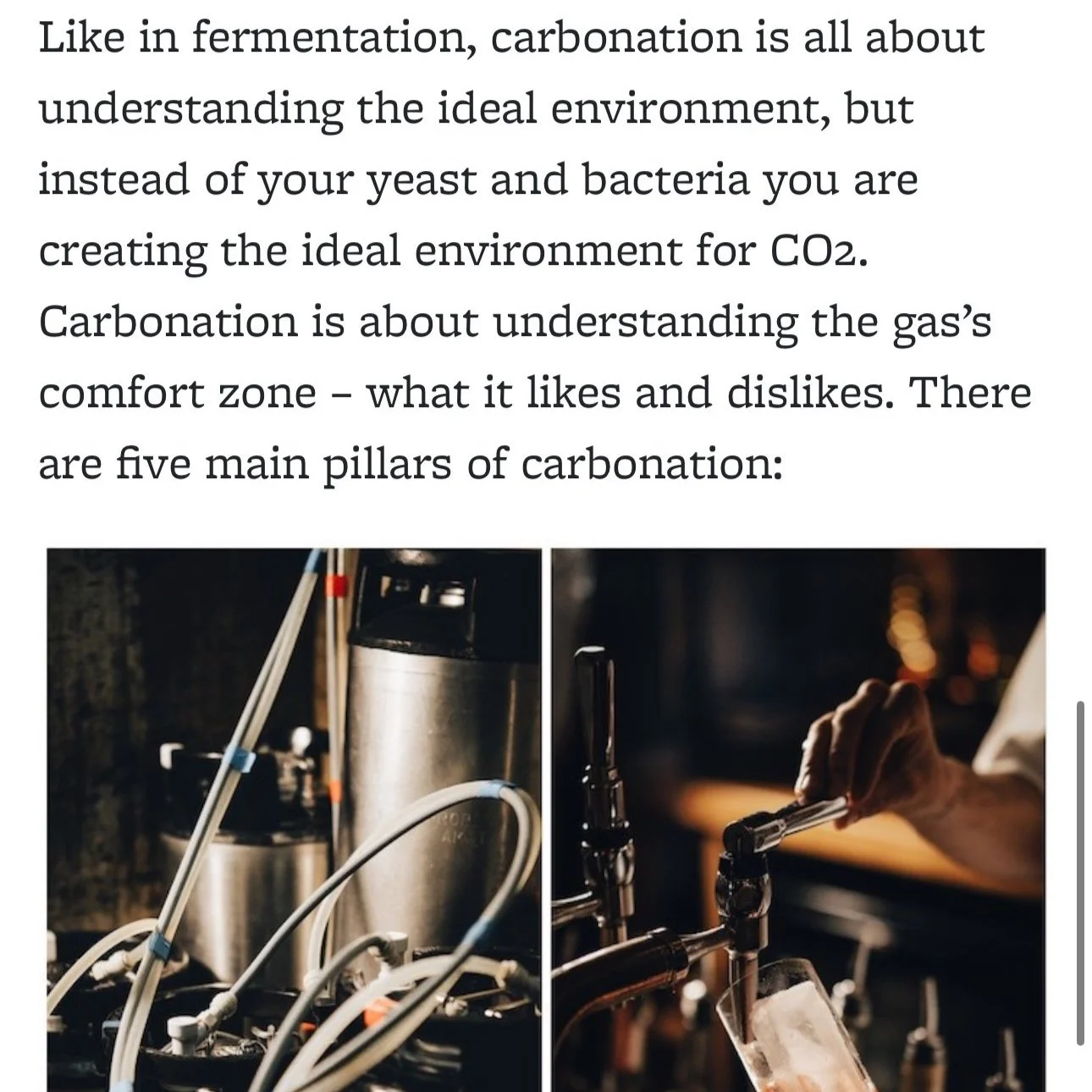 Images showing scientific equipment and a person pouring a liquid into a glass, related to the process of carbonation and fermentation for carbon dioxide production.