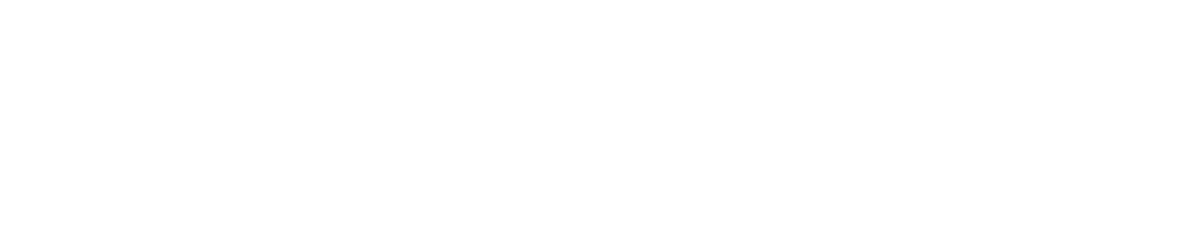 Anine Bing Logo for Chainstitch Embroidery Client Berlin