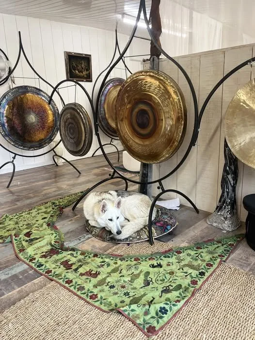 Anrew Elson's dog Asha resting under some gongs