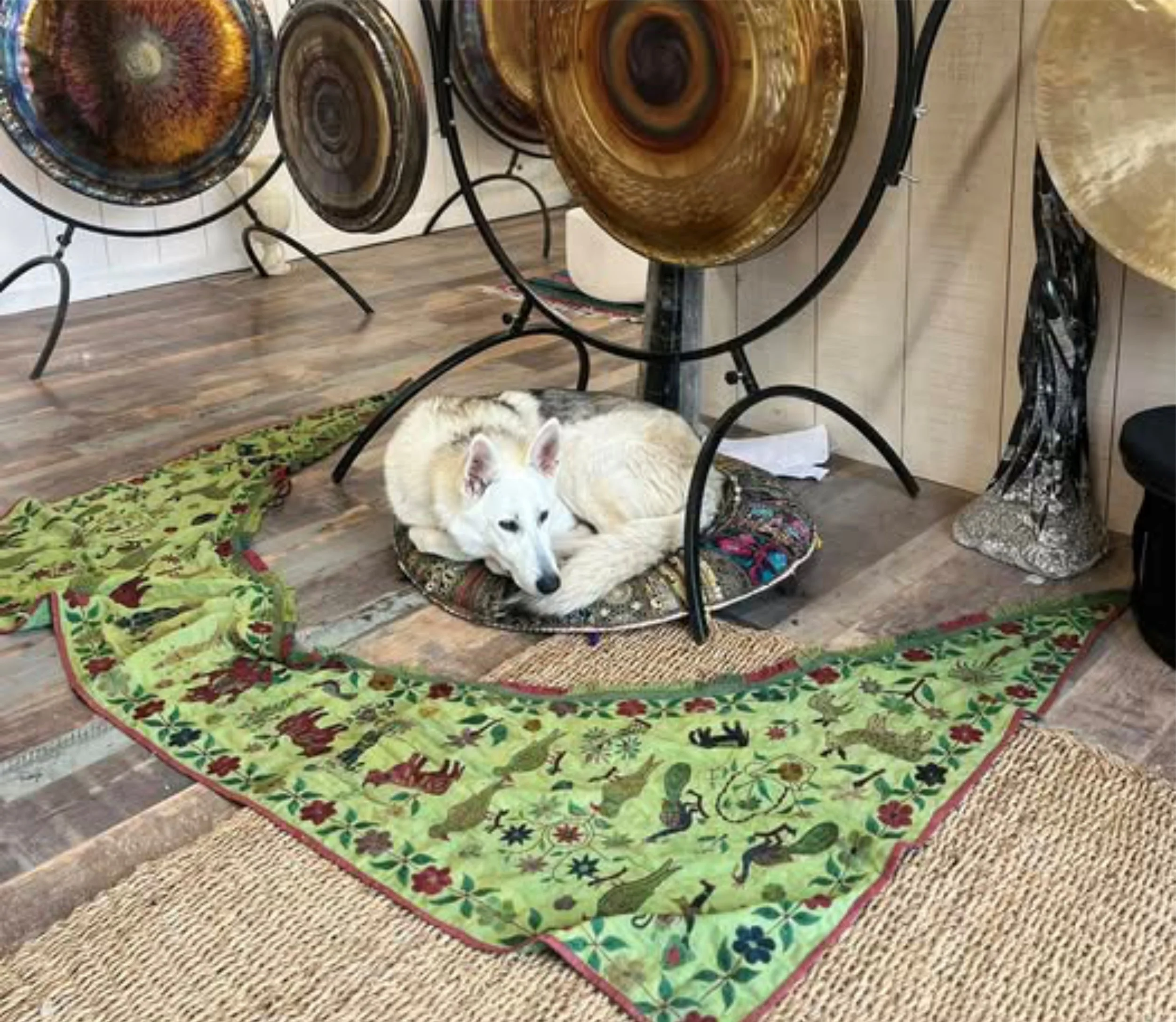 A white dog with black spots lying on a patterned rug, underneath a set of decorative metal tables with ornate, colorful, copper-colored bowls.