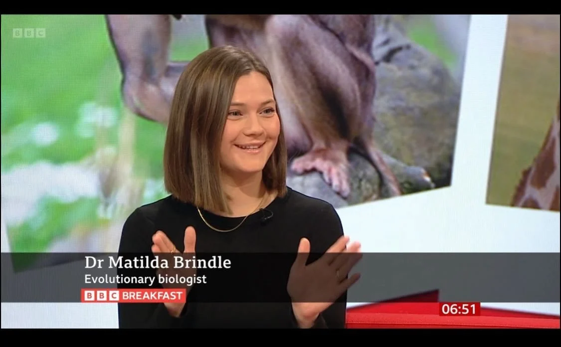 Chatting to @bbcbreakfast about our new research into the evolution of kissing 🦧🙊😘💋