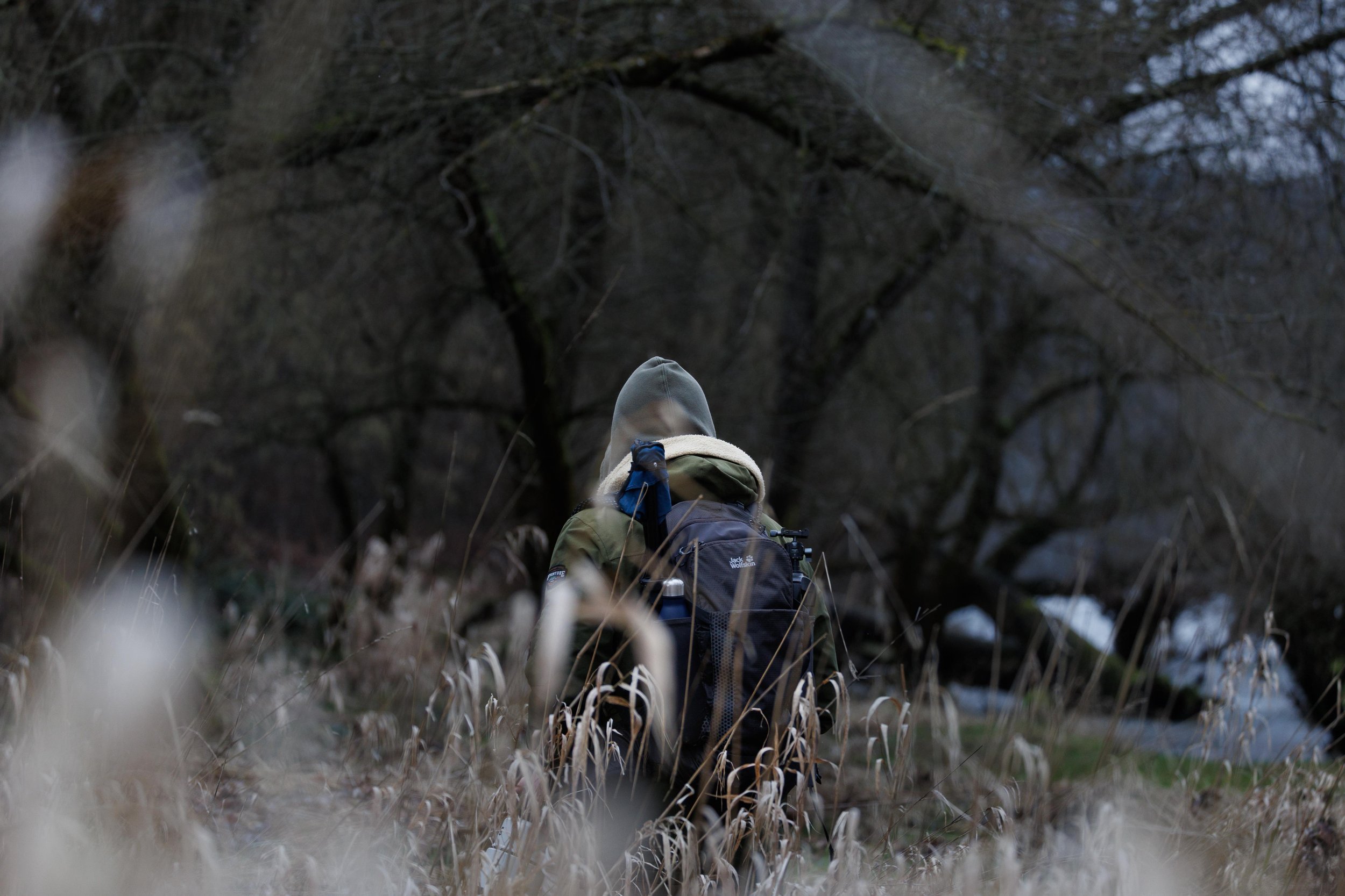 Ein Mensch mit Rucksack in einem Naturschutzgebiet, umgeben von trockenem Gras und Bäumen.