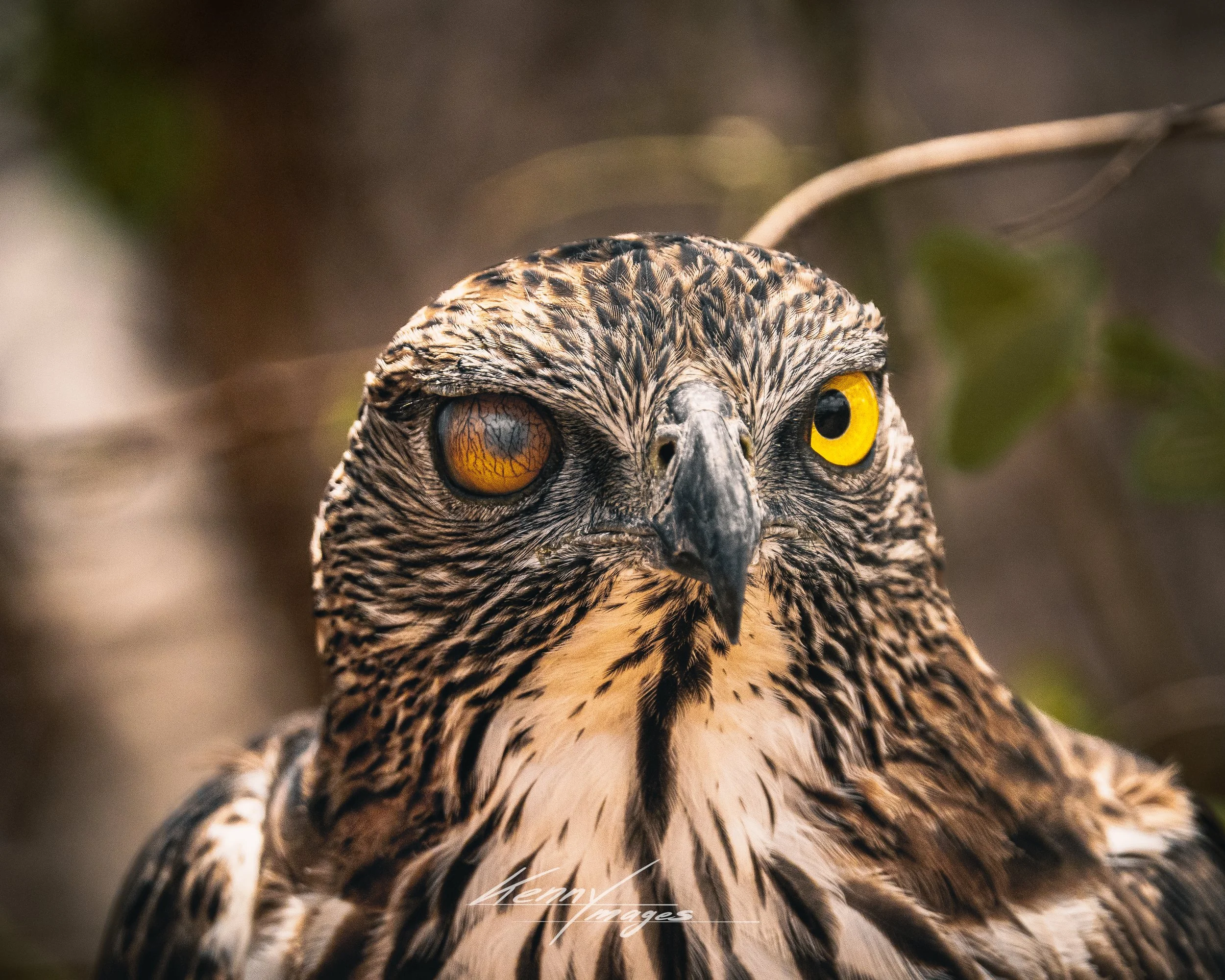 _DSC9658.jpeg
