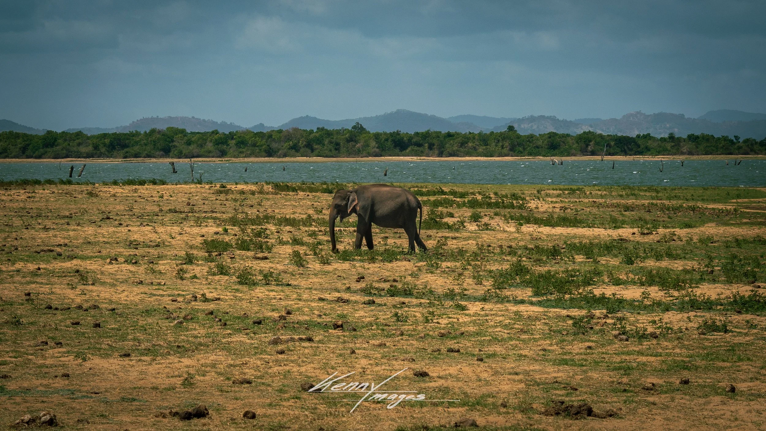 _DSC9354.jpeg