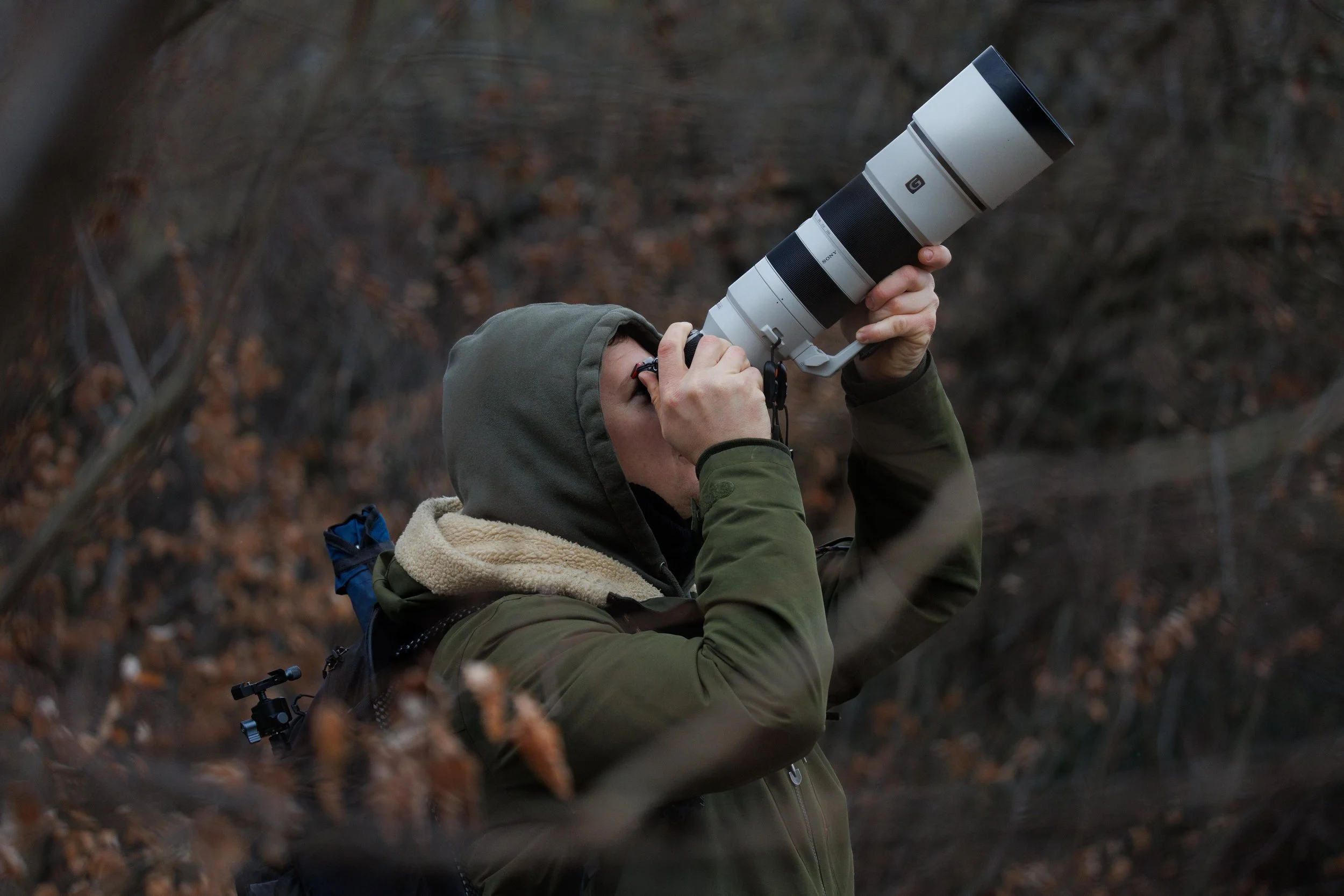 Ein junger Mann mit Kapuzenmantel fotografiert durch ein Teleskop in einem Wald im Herbst.