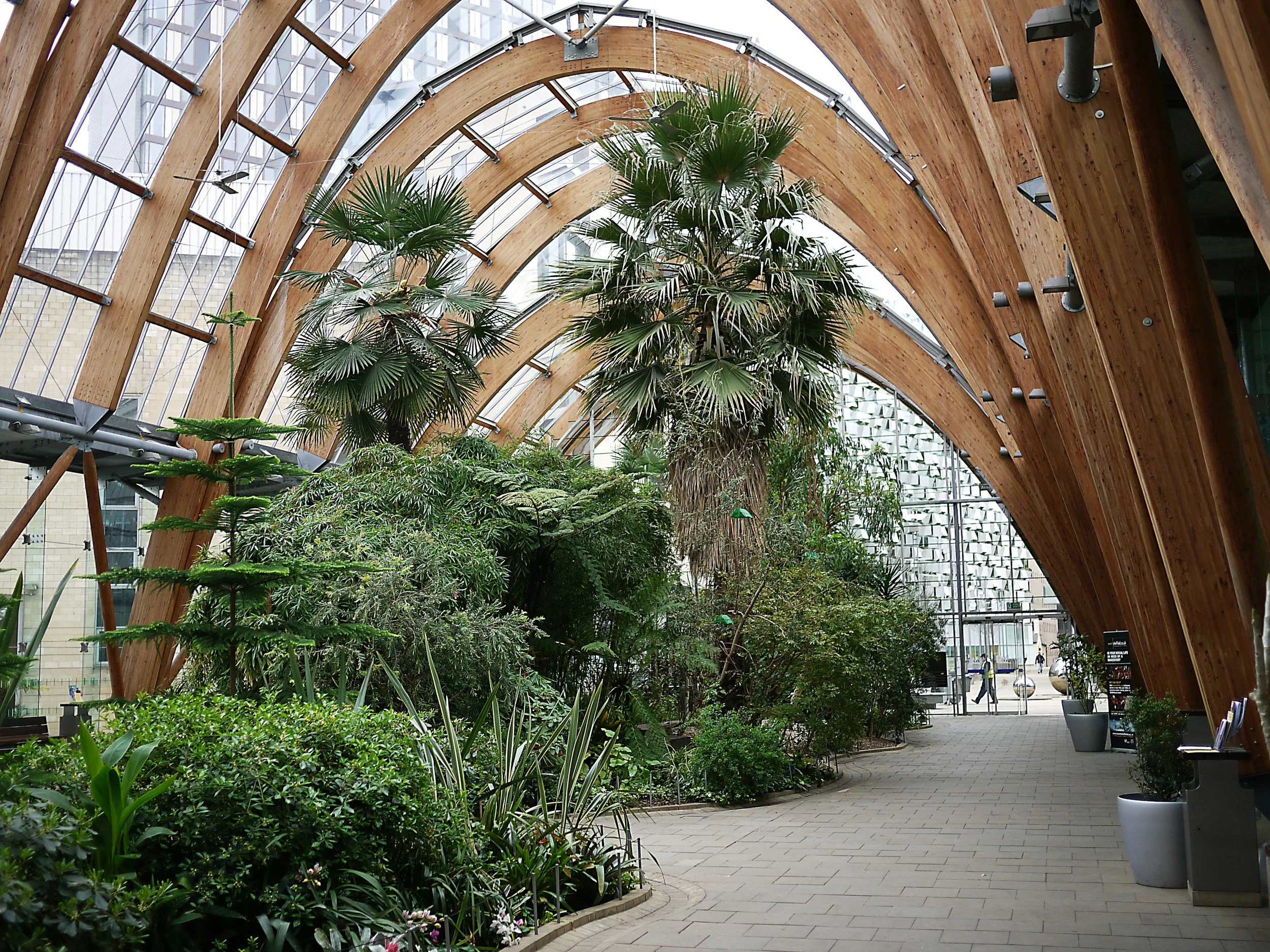 Interior of a modern greenhouse with curved wooden arches, large glass panels, and lush green plants including palm trees, ferns, and shrubs.