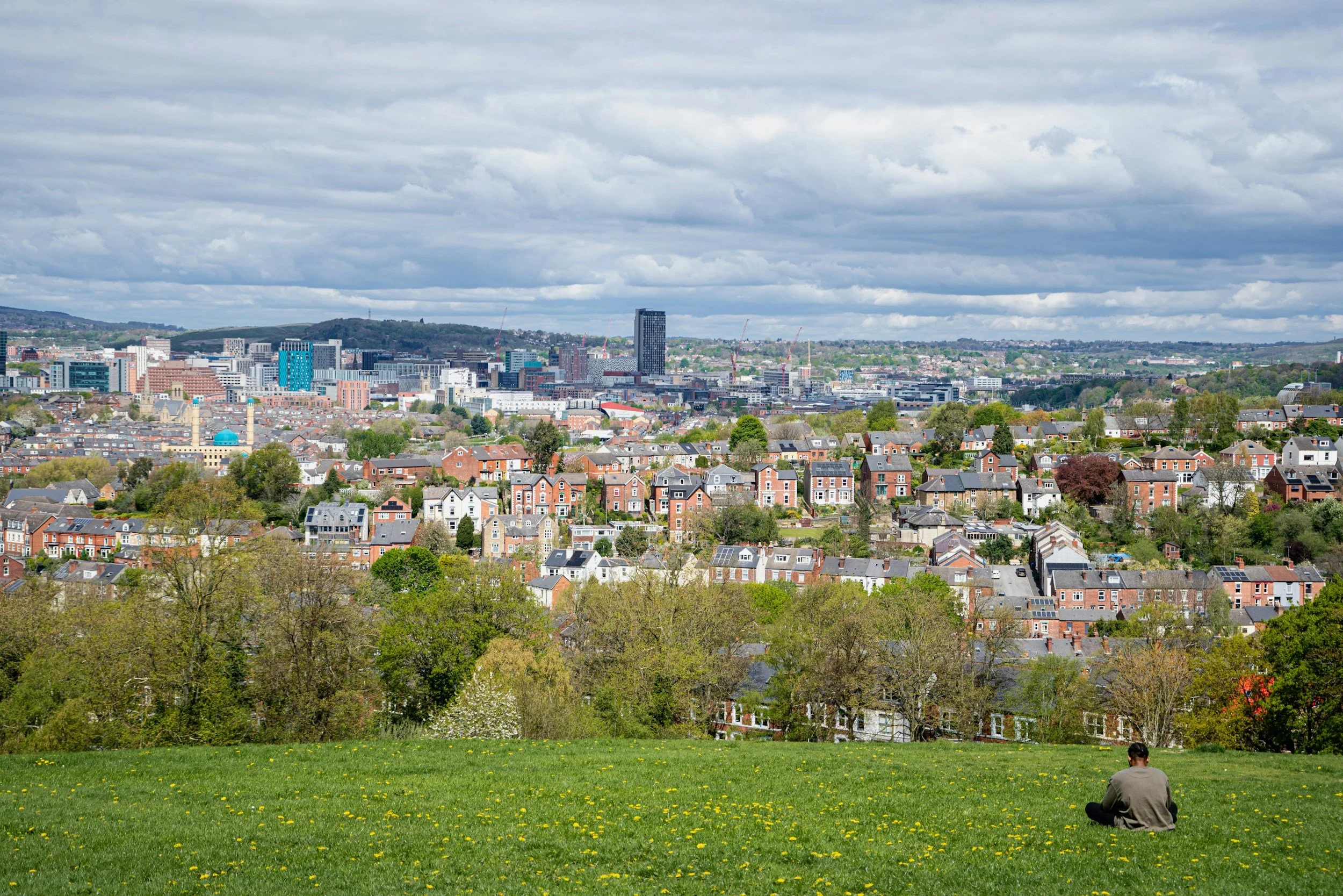 HR and Employment Law Support for Sheffield Small Businesses and Growing Organisations