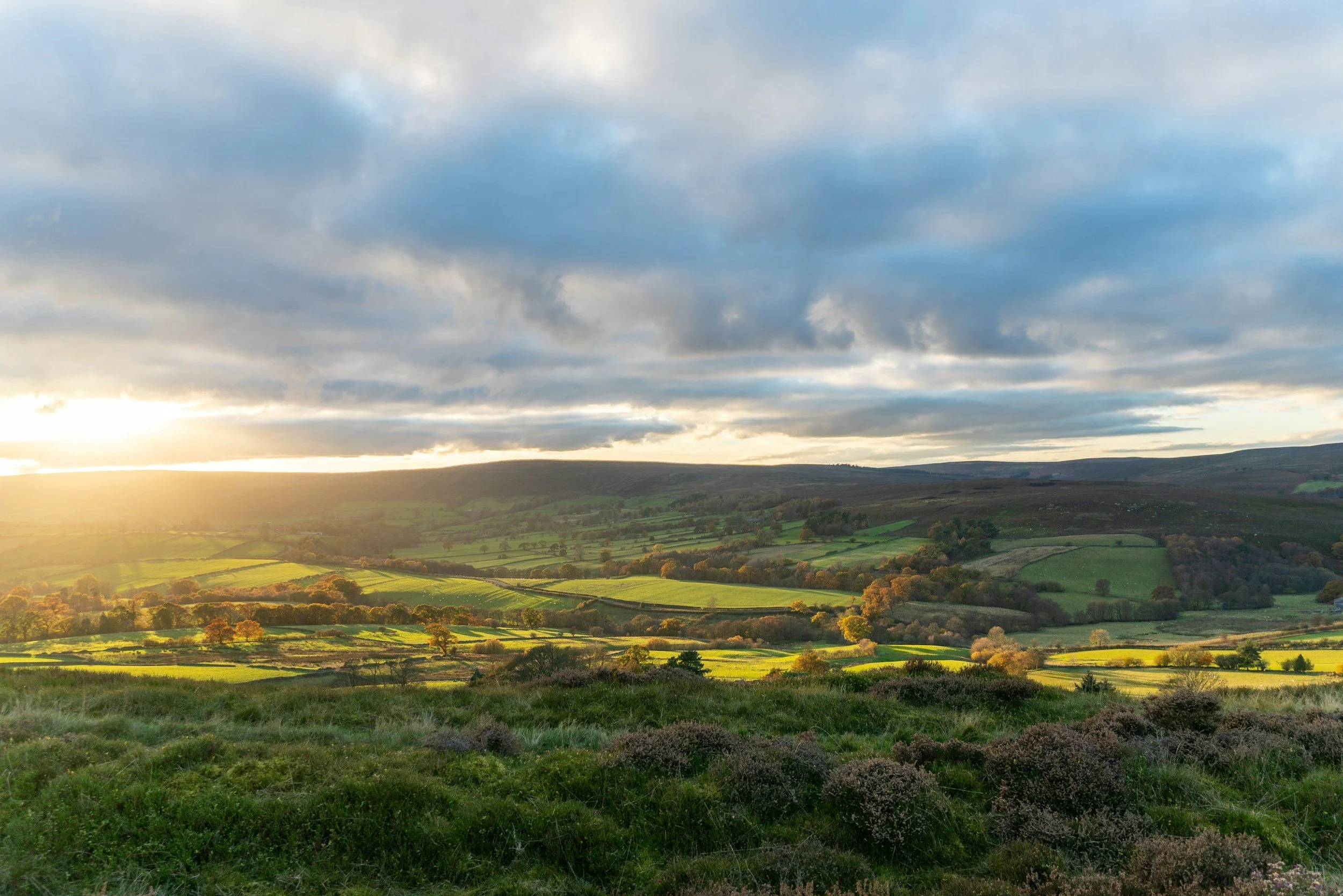 Employment Law Advice for Yorkshire Charities: What You Need, When You Need It
