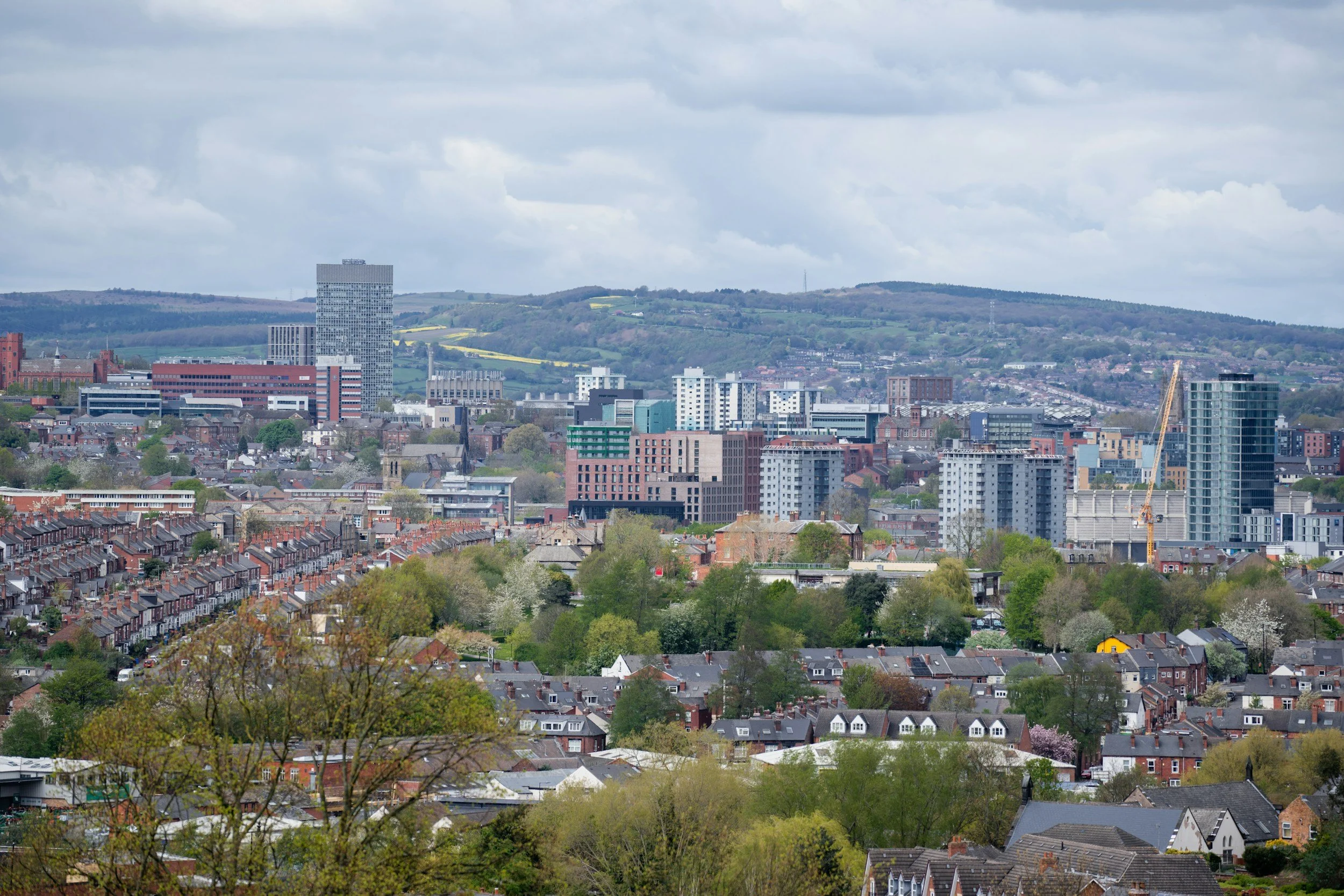 HR Support for Small Businesses in Sheffield: What Are Your Options?
