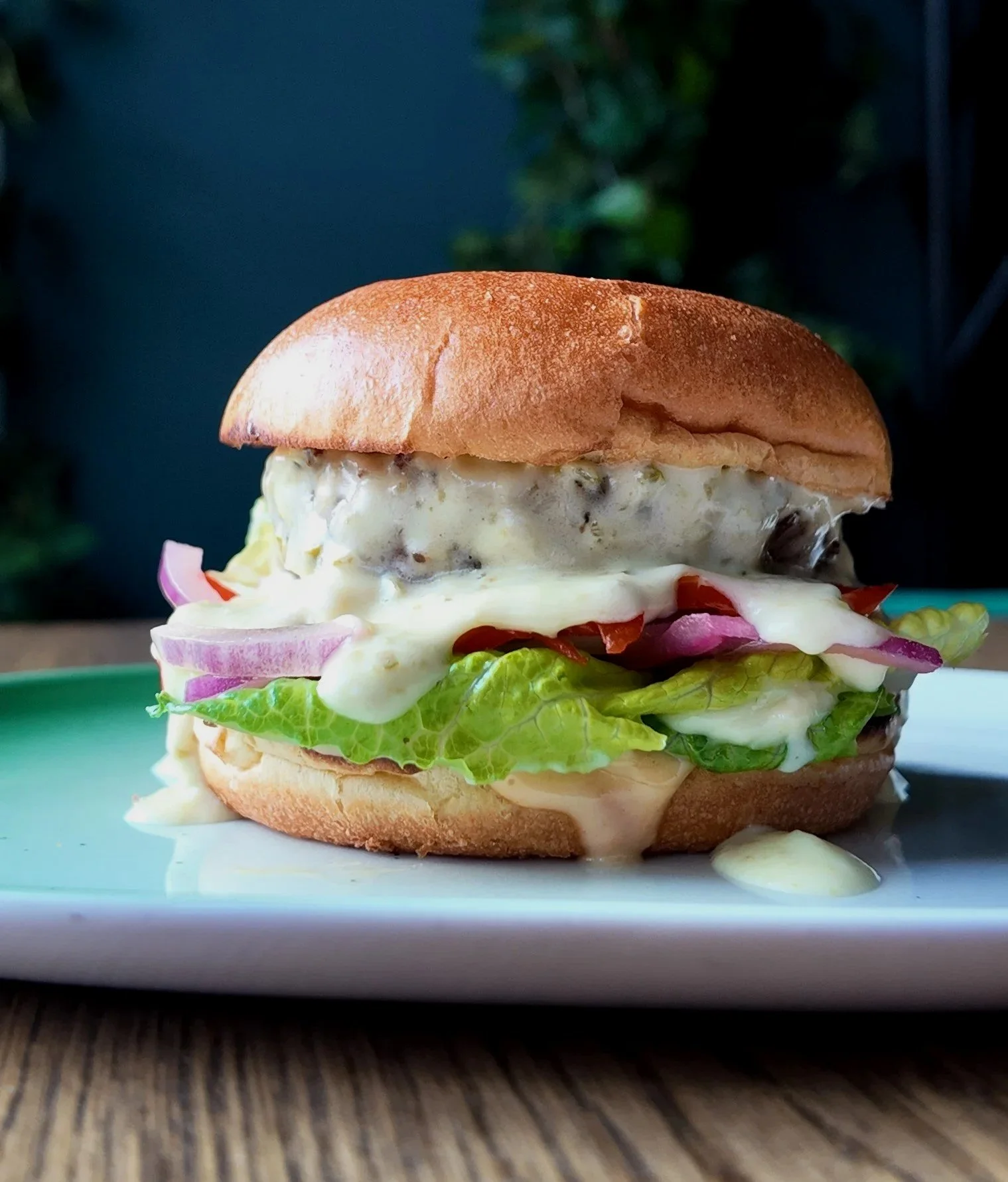 En lakse- eller kyllingburger med salat, rødløk, tomat og dressing på en hvit tallerken.
