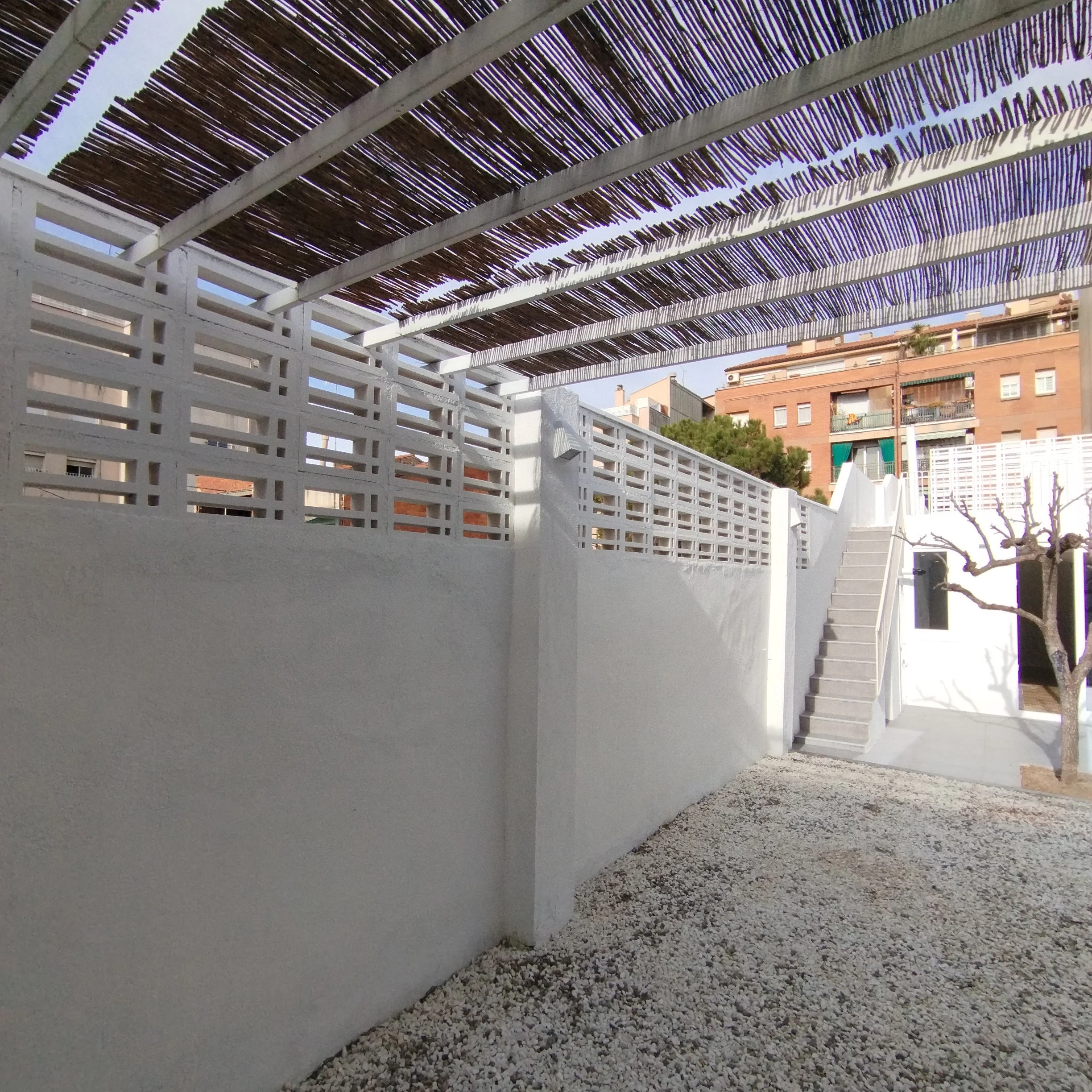 2025-01-29 12.01.11.jpg