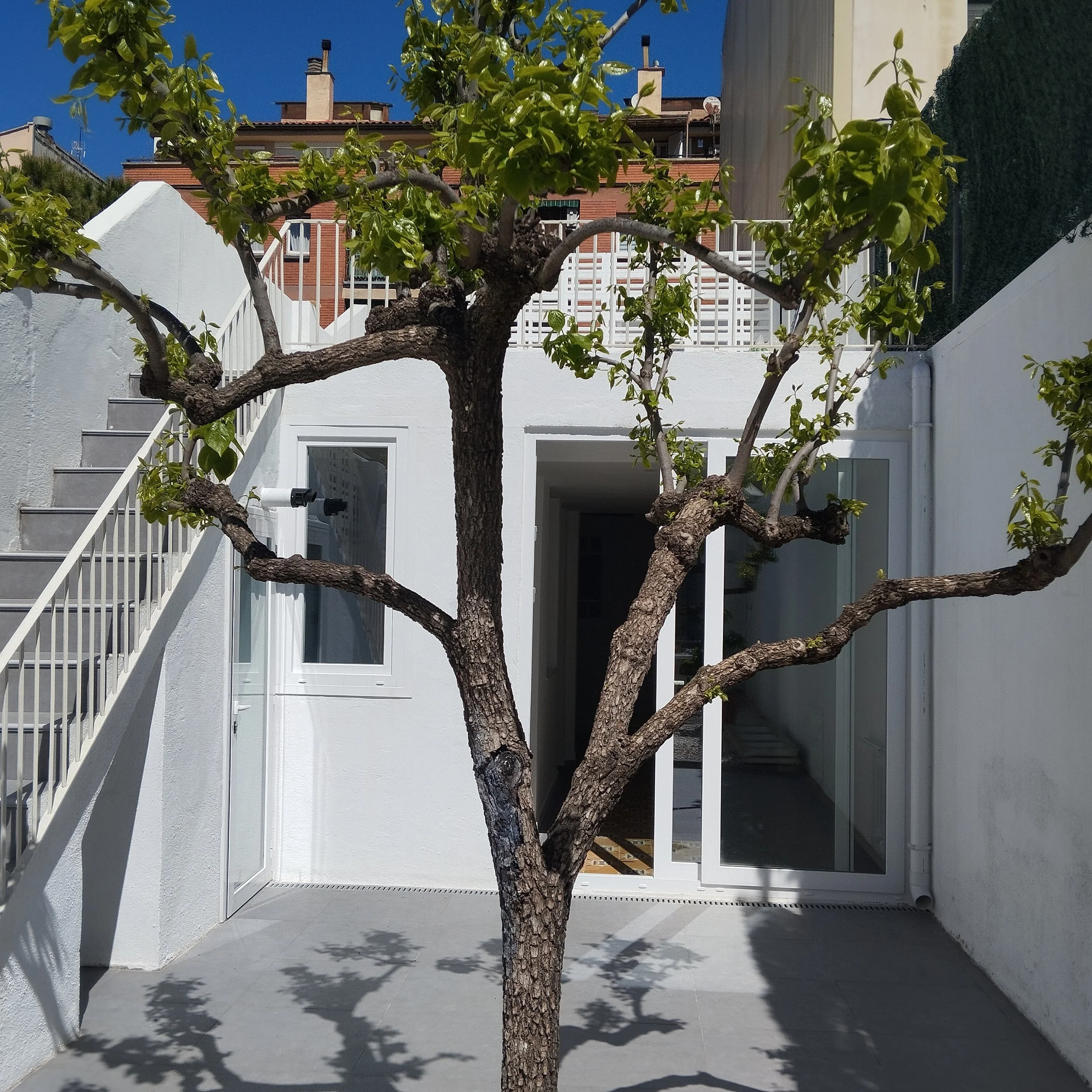 2025-04-17 12.37.28.jpg