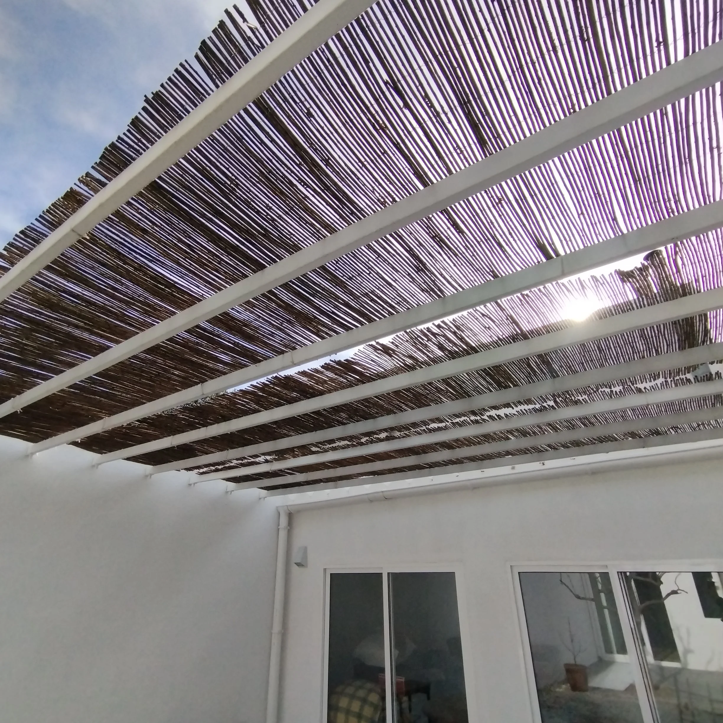 2025-01-29 12.01.00 copia.jpg