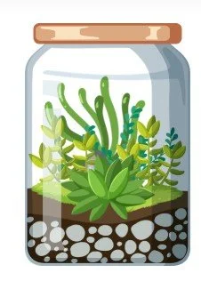 Construis ton terrarium et découvre le sol 