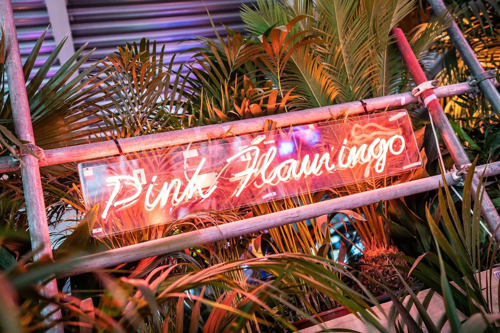 Neon sign reading 'Pink Flamingo' surrounded by tropical plants.