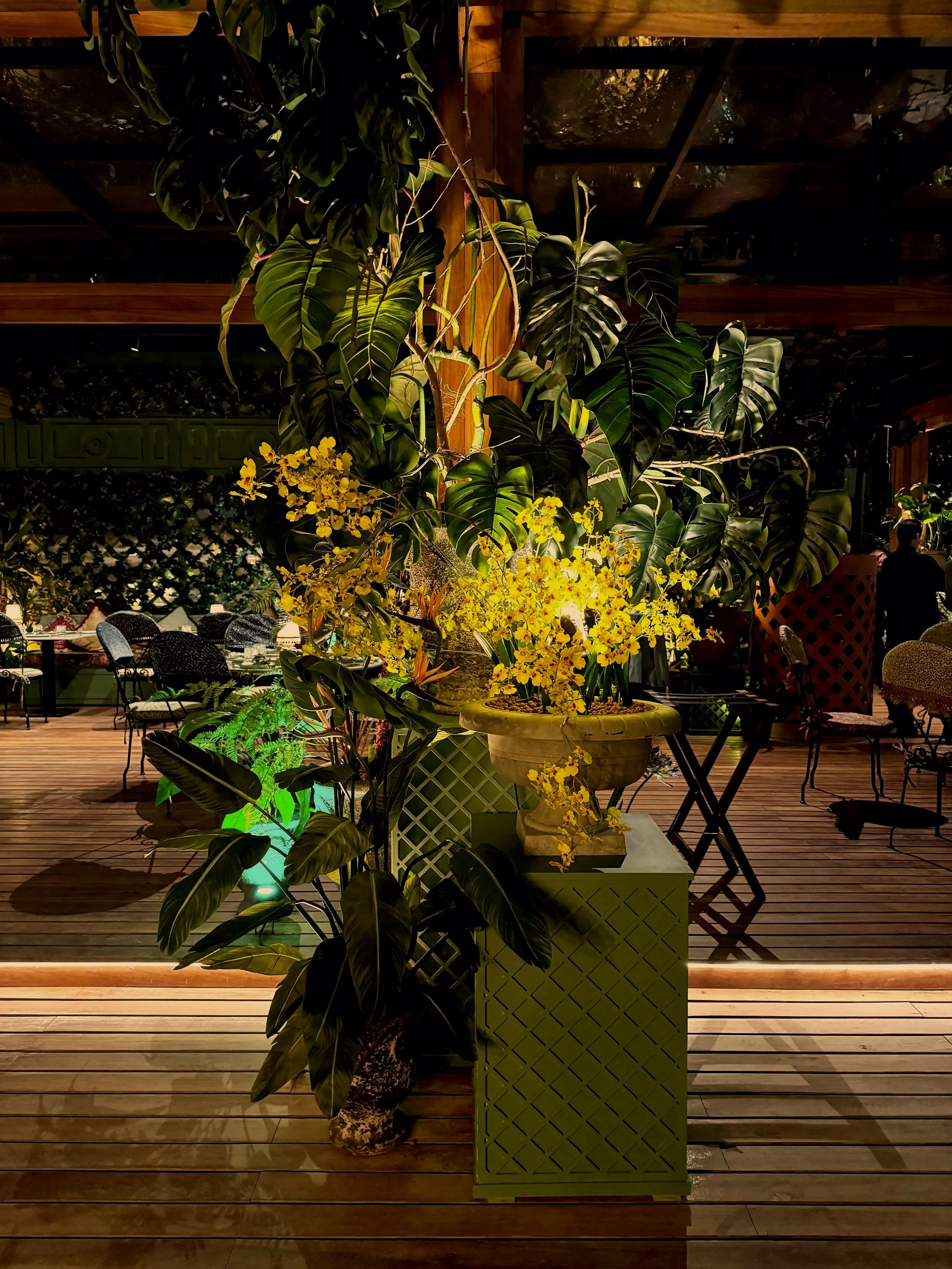 Outdoor scene featuring a large potted Monstera plant and yellow orchids on a decorative stand, with wooden flooring and seating in the background.