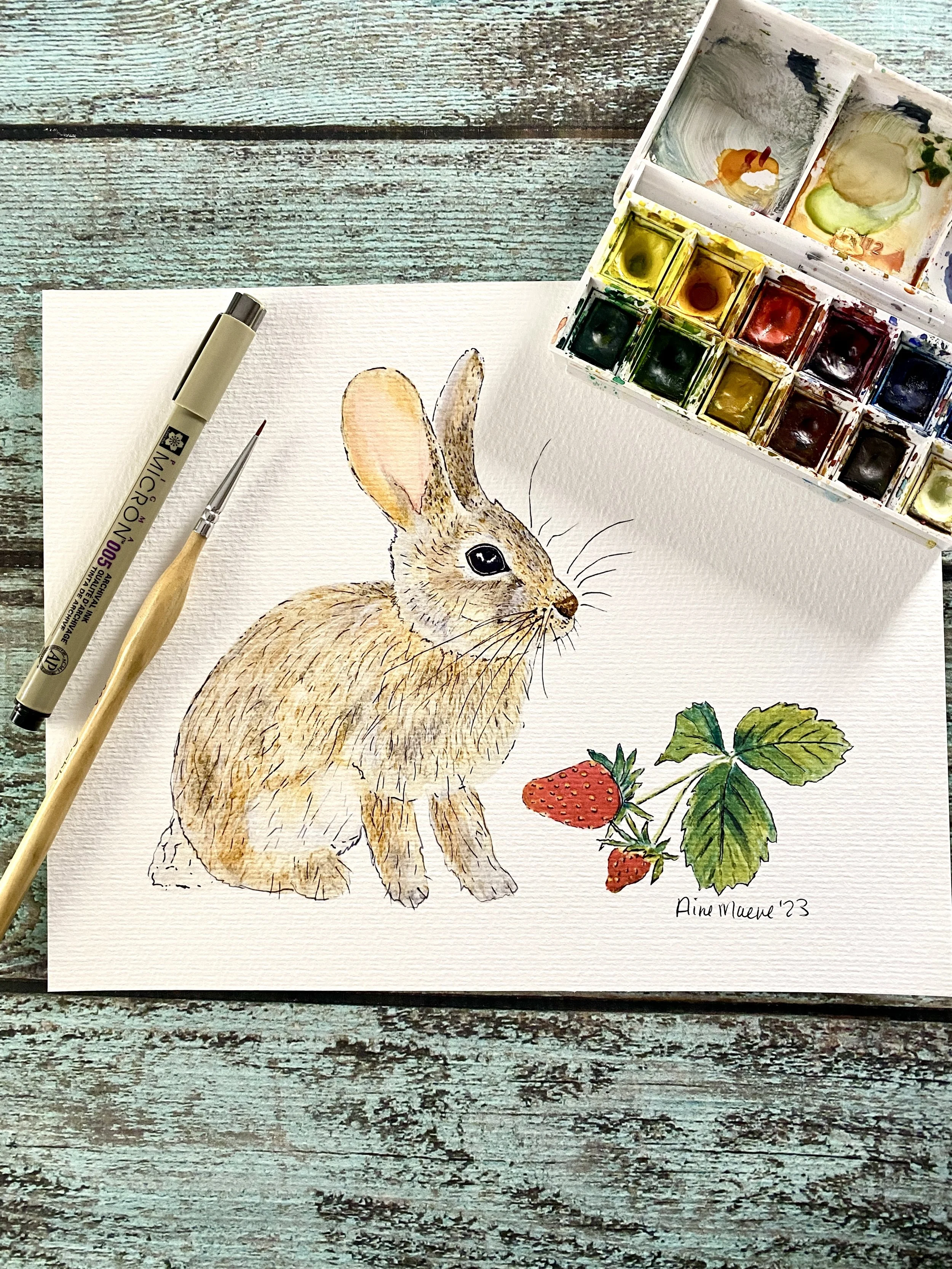Cottontail Rabbit 8x10 Art Print