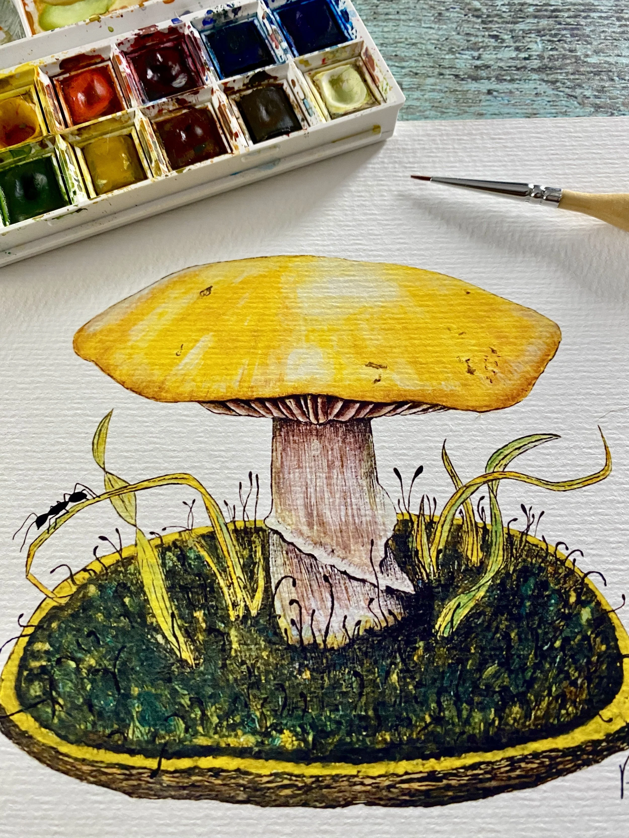Mushroom & Ant Print Oklahoma nature illustration.