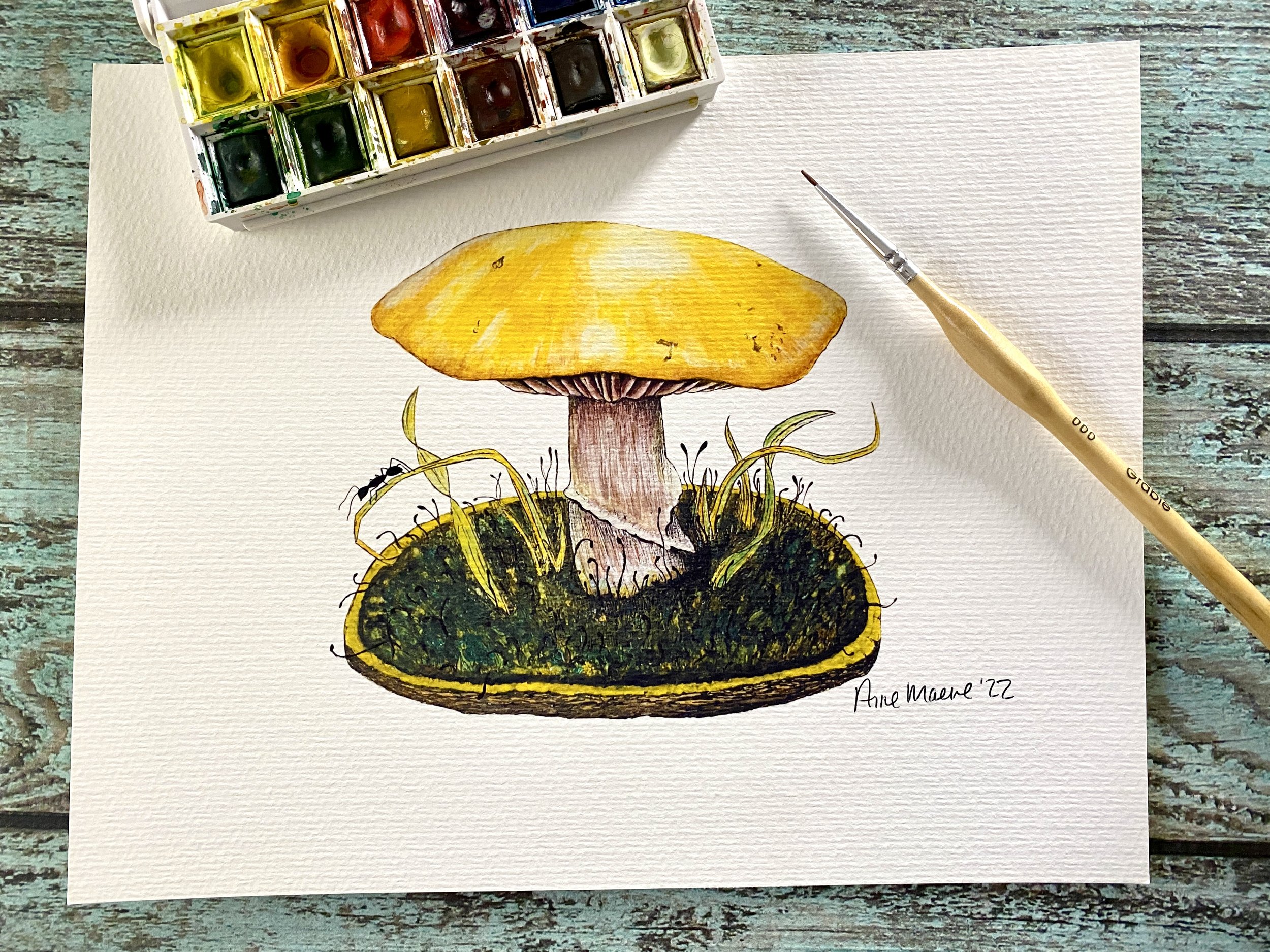 Mushroom & Ant 8x10 Art Print