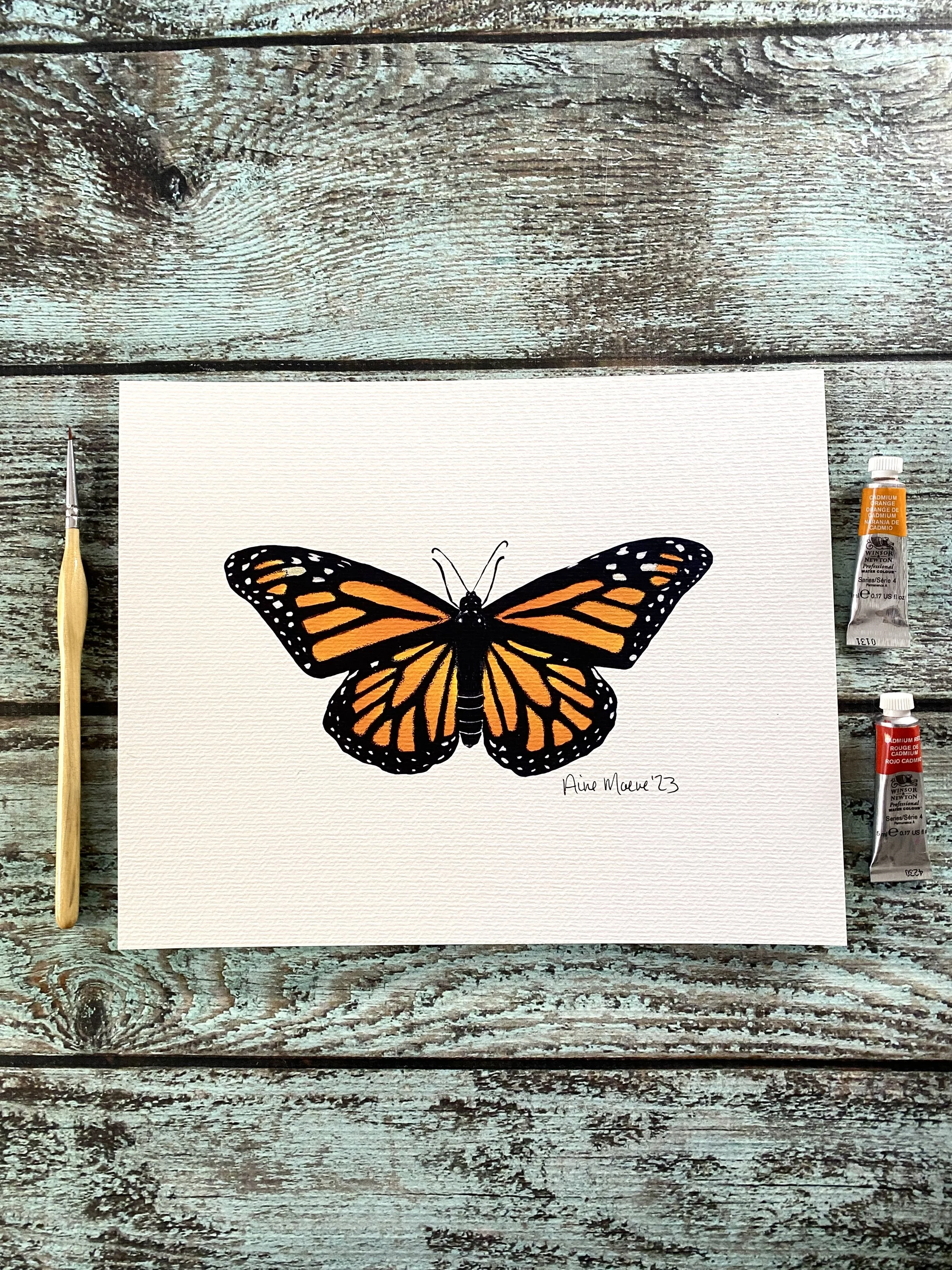 Monarch Butterfly 8x10 Art Print