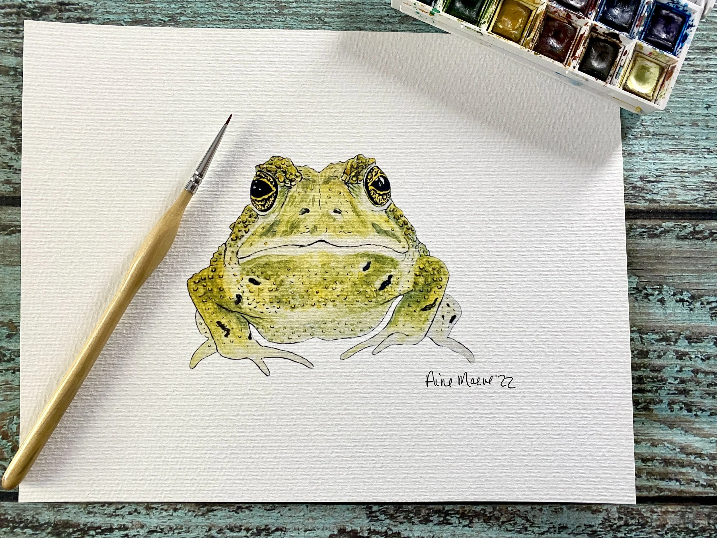 Garden Toad 8x10 Art Print