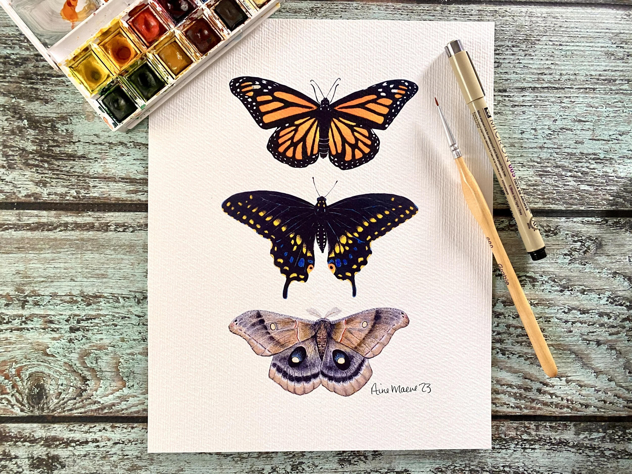 Monarch Butterfly, Swallowtail Butterfly & Polyphemus Moth 8x10 Art Print