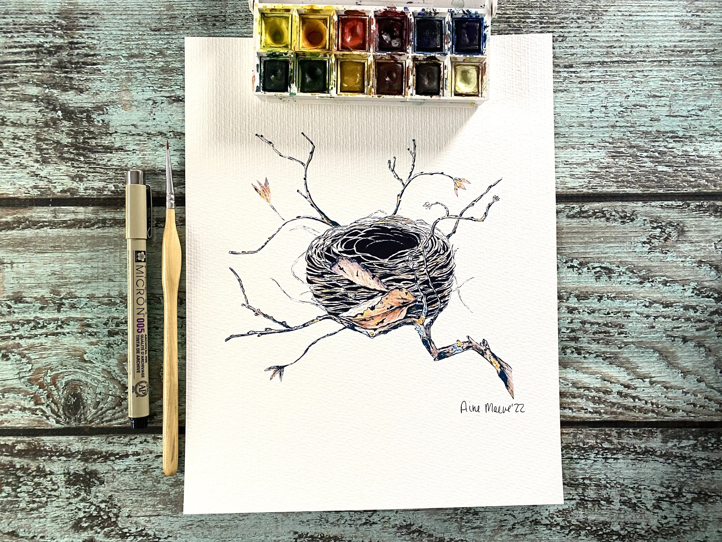 Delicate Nest - 8 X 10 Art Print