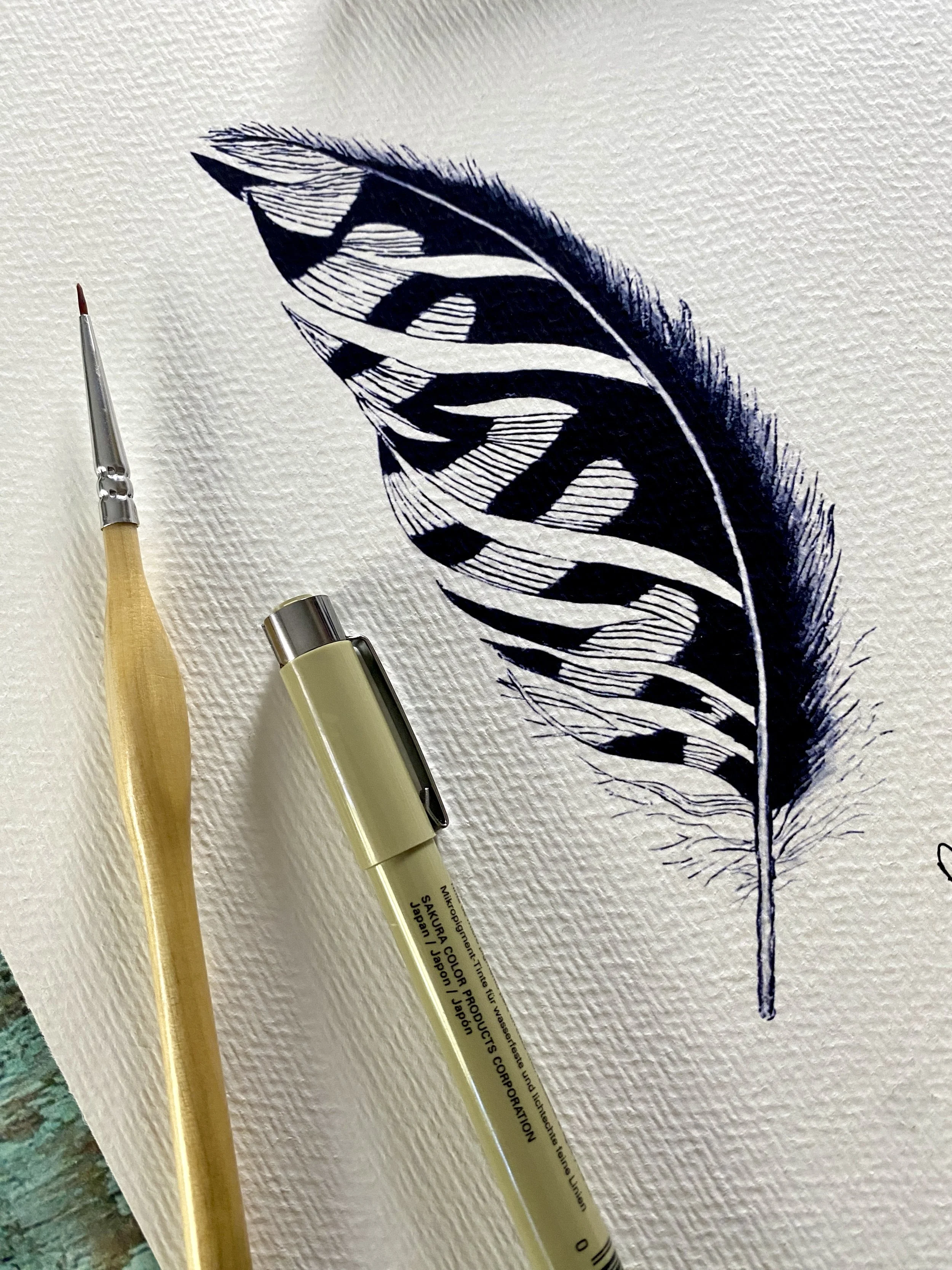 Nighthawk Feather Print Oklahoma nature illustration.