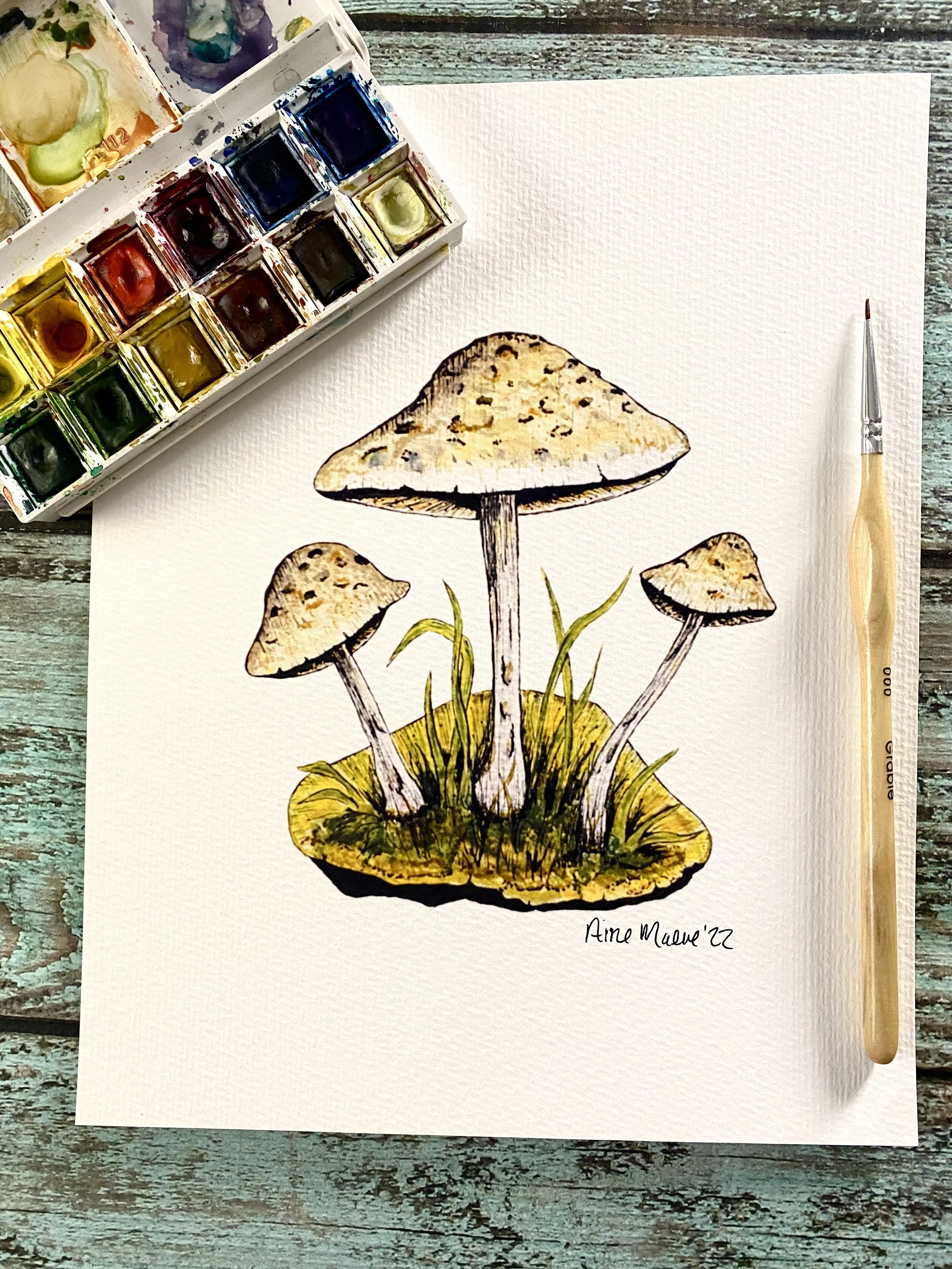 Mushroom Trio - 8 X 10 Art Print