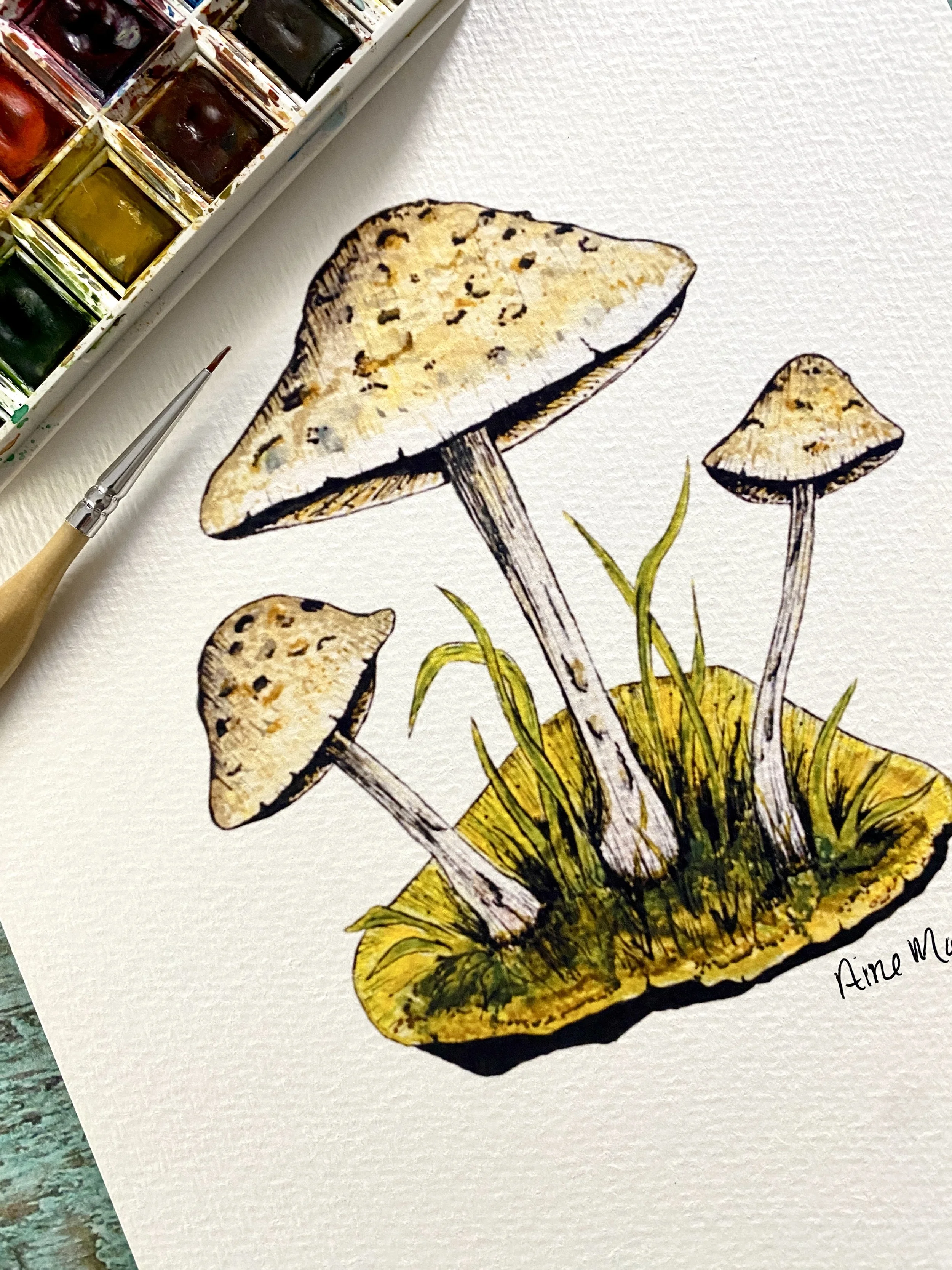 Mushroom Trio Print Oklahoma nature illustration