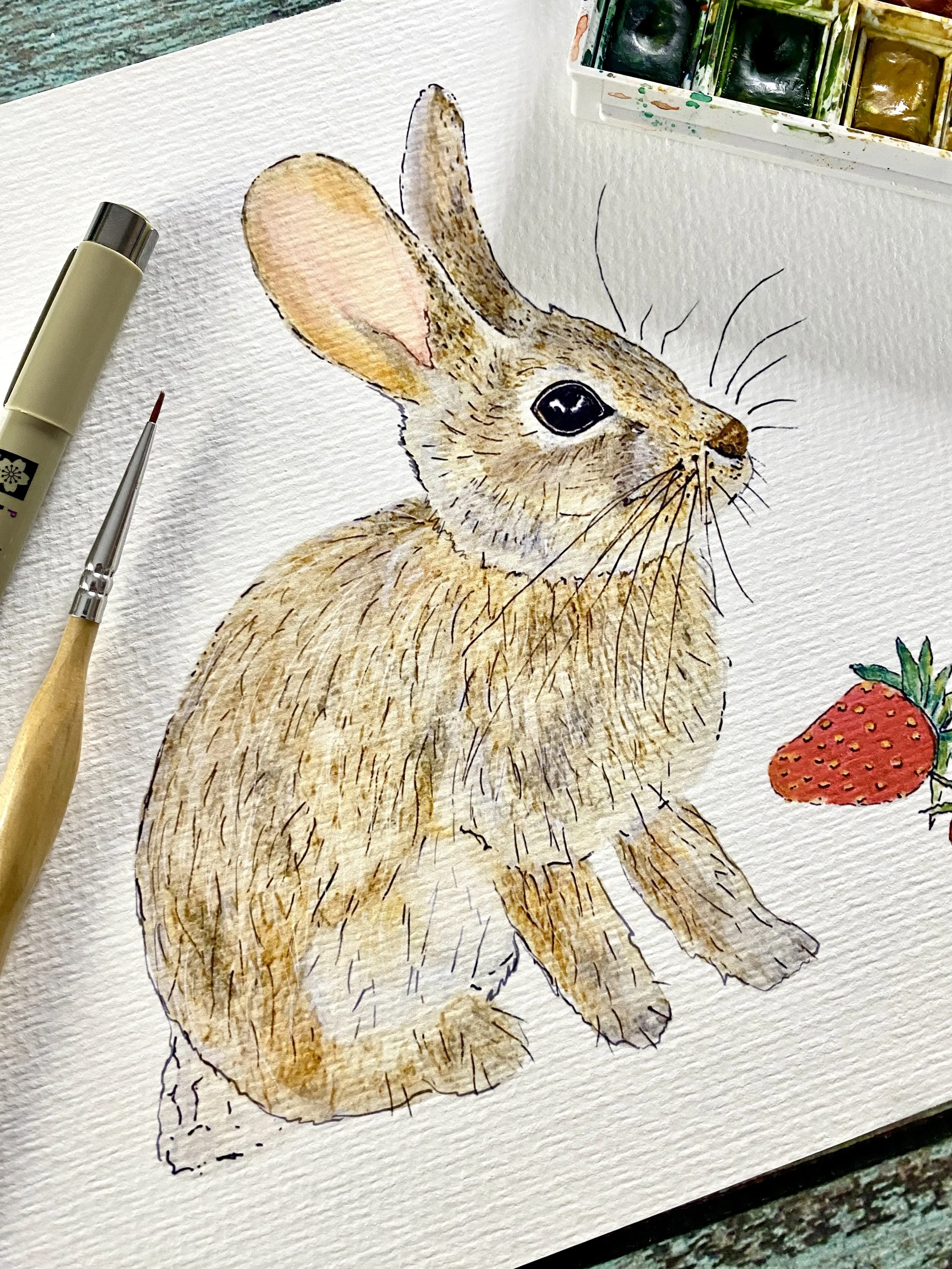 Cottontail Bunny Print Oklahoma nature illustration.