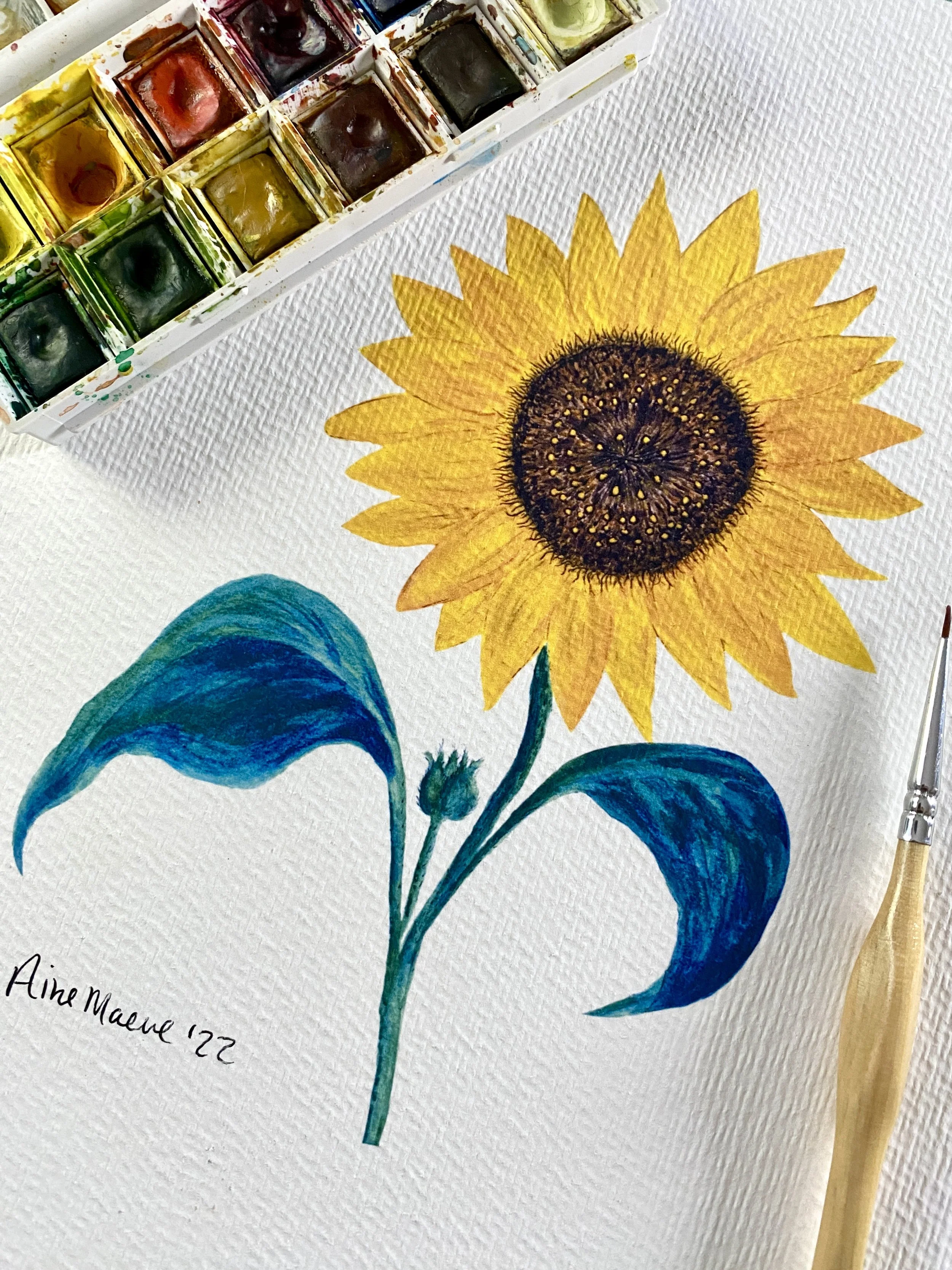 Sunflower Print Oklahoma nature illustration.
