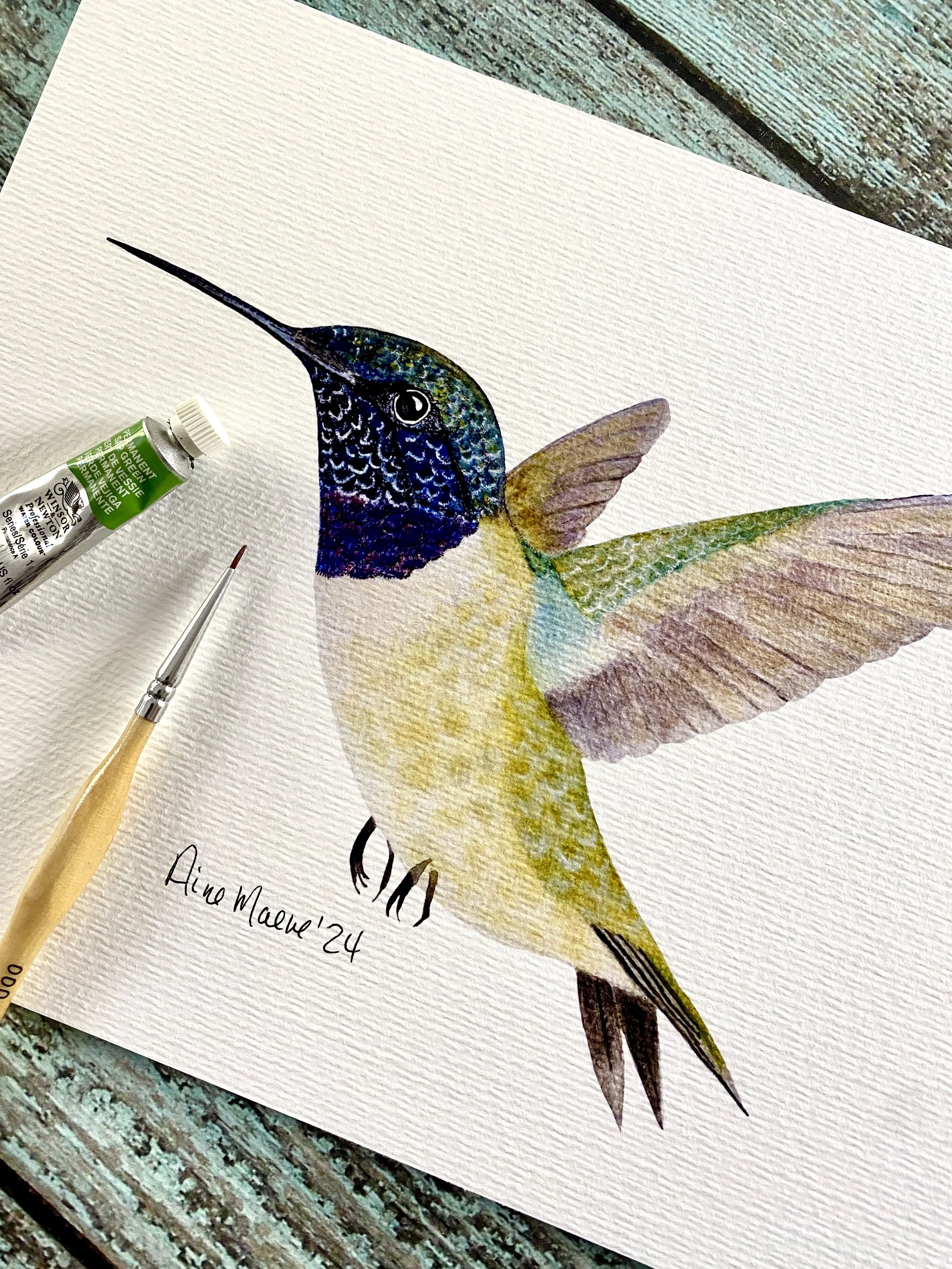 Black-Chinned Hummingbird Print Oklahoma nature illustration.
