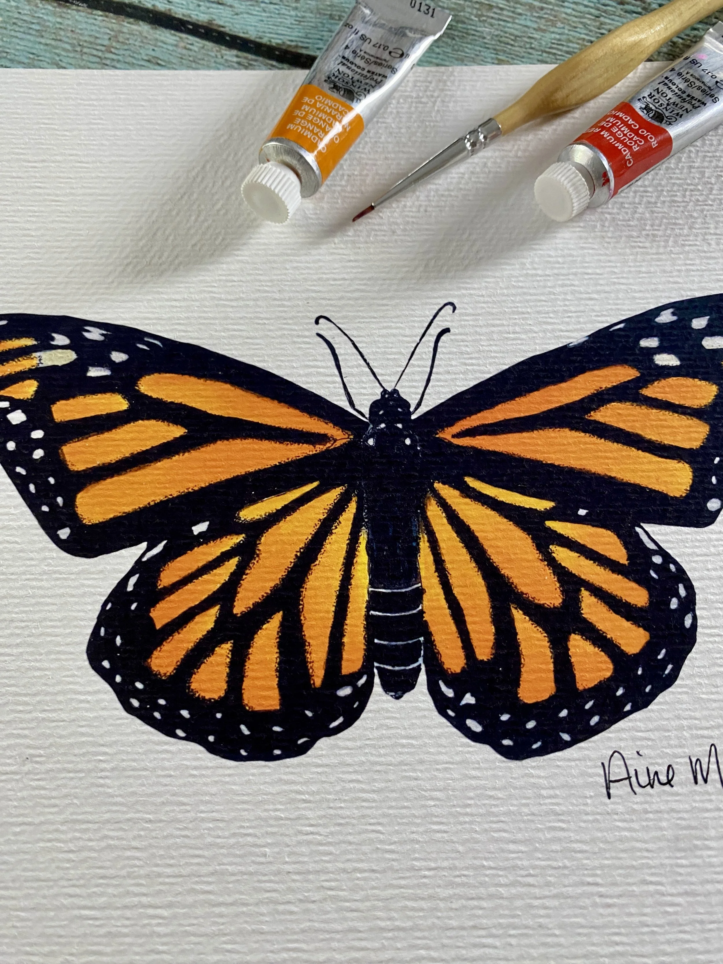 Monarch Butterfly Print Oklahoma nature illustration.