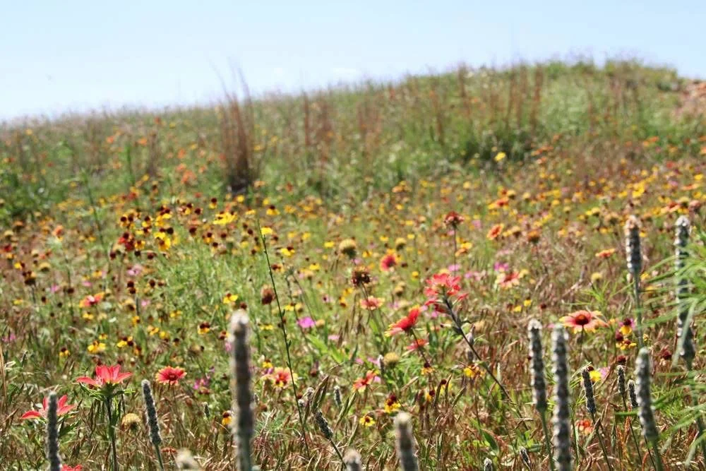 A Season of Extremes