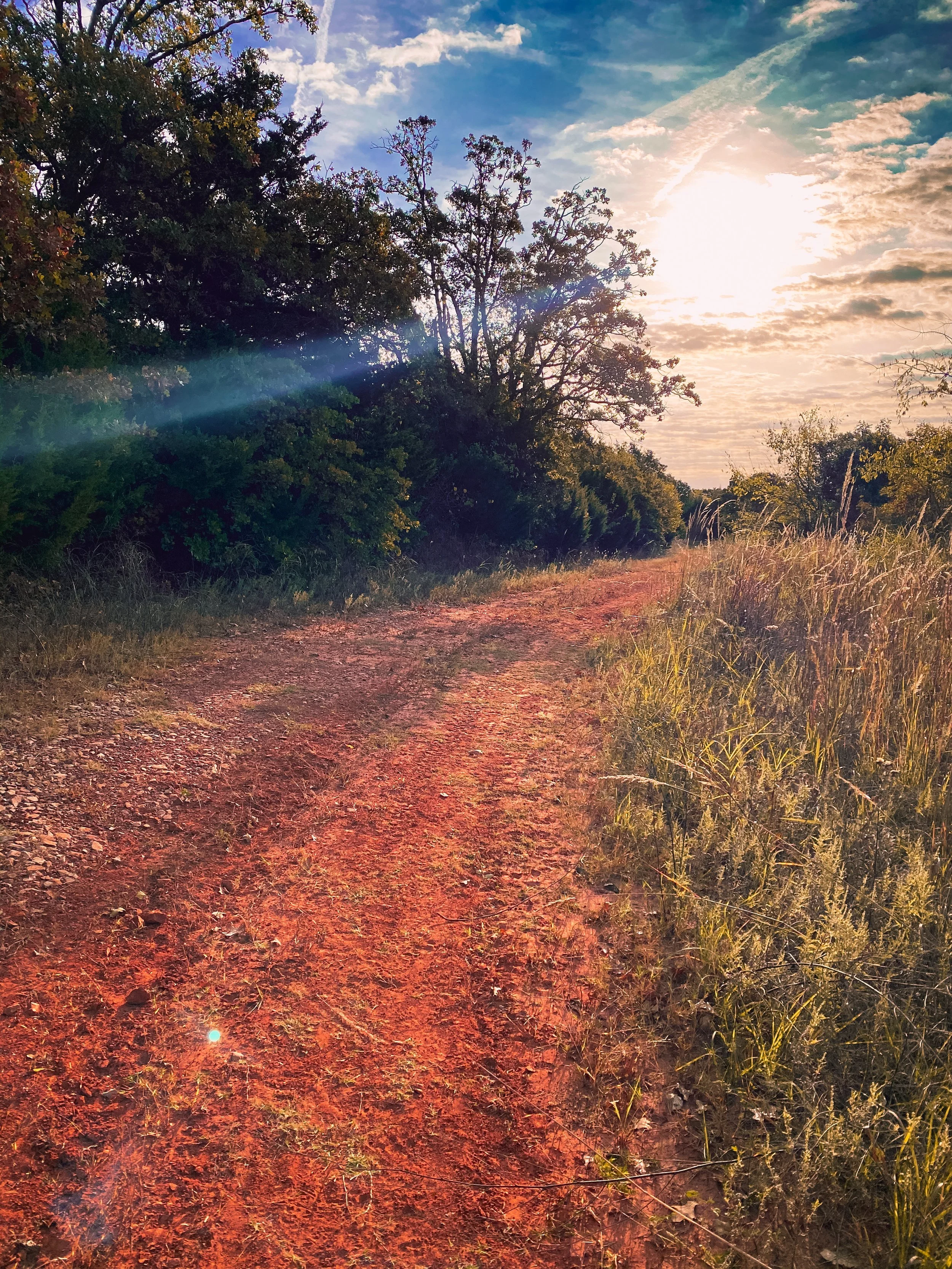 A dirt trail running through a grassy and wooded area at sunset, with a partly cloudy sky and sun rays shining through trees.