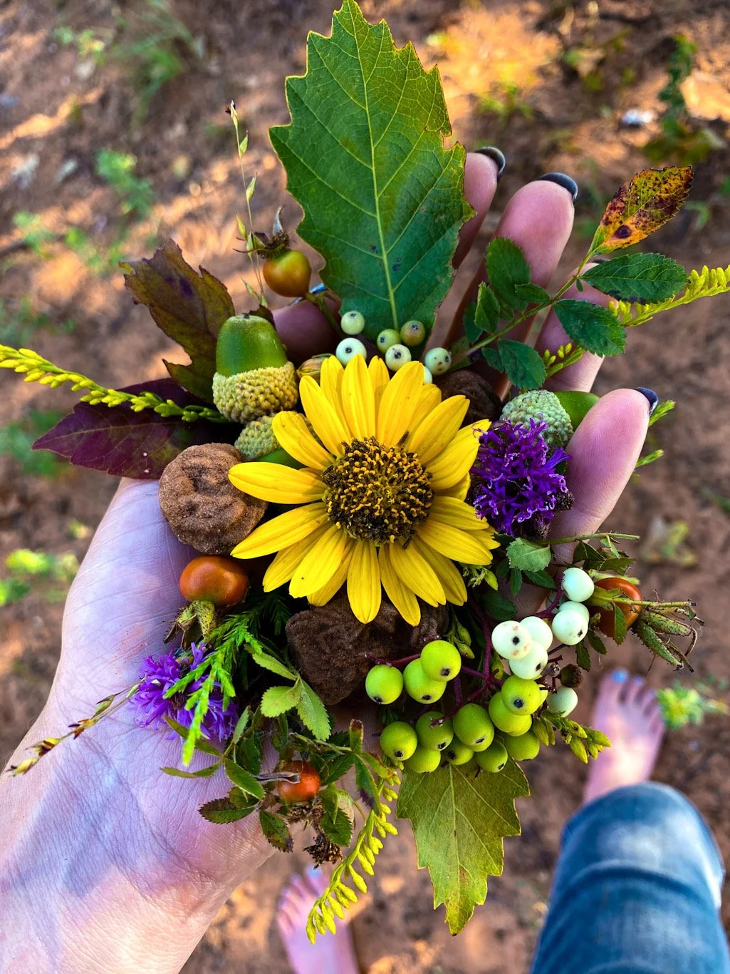 Hand holding a small bouquet of wildflowers and berries, including a yellow sunflower, purple flowers, green and white berries, and various leaves, outdoor setting.