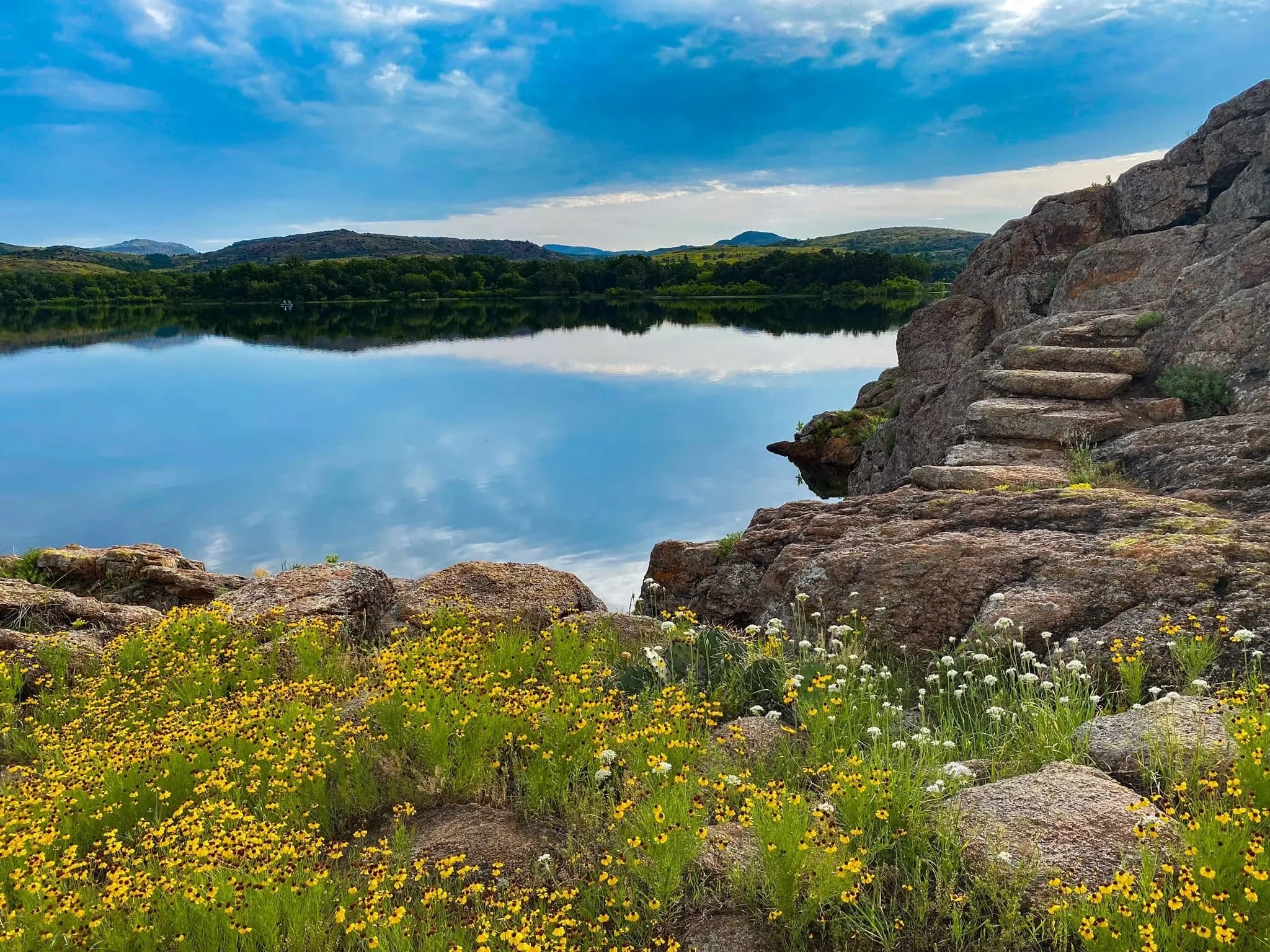 a mountain scene with yellow wildflowers and a lake reflecting clouds in the sky.