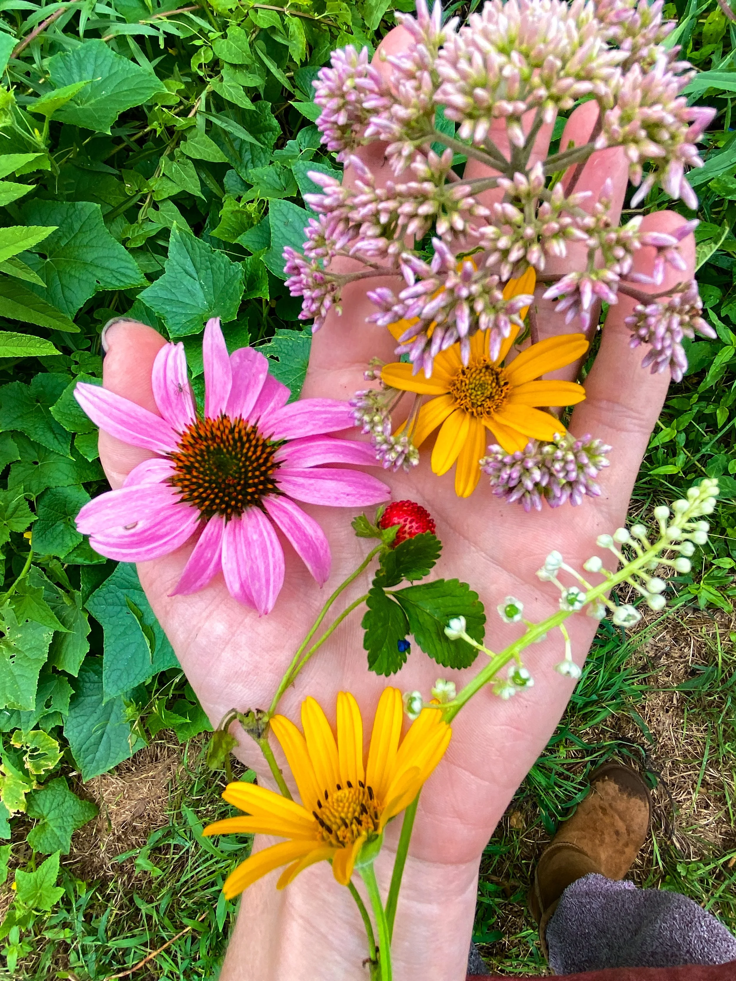A hand holding a variety of colorful flowers, including pink, yellow, and purple blooms, with green foliage and grass in the background.