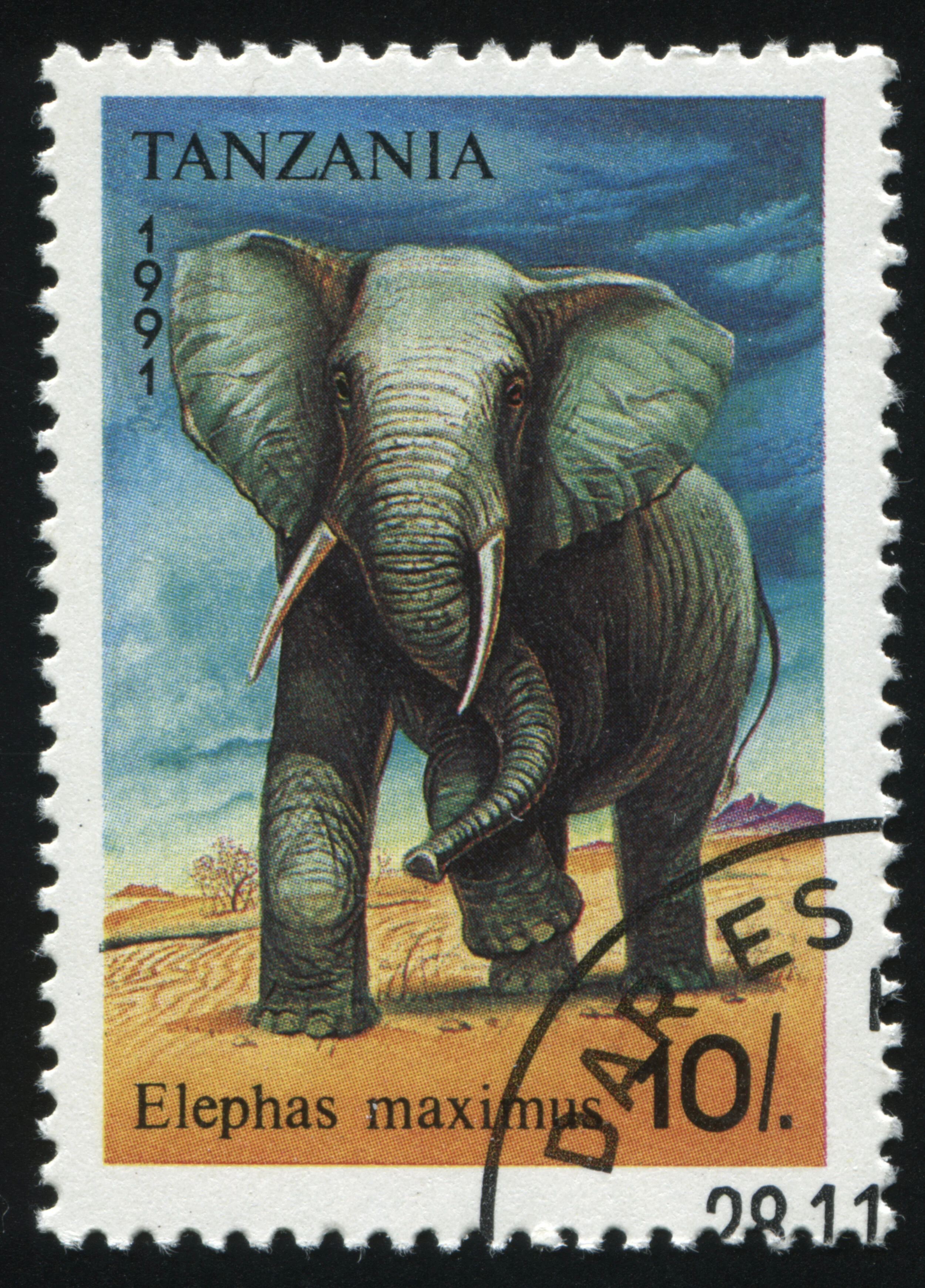 On the importance of not trying to eat the whole Elephant at once