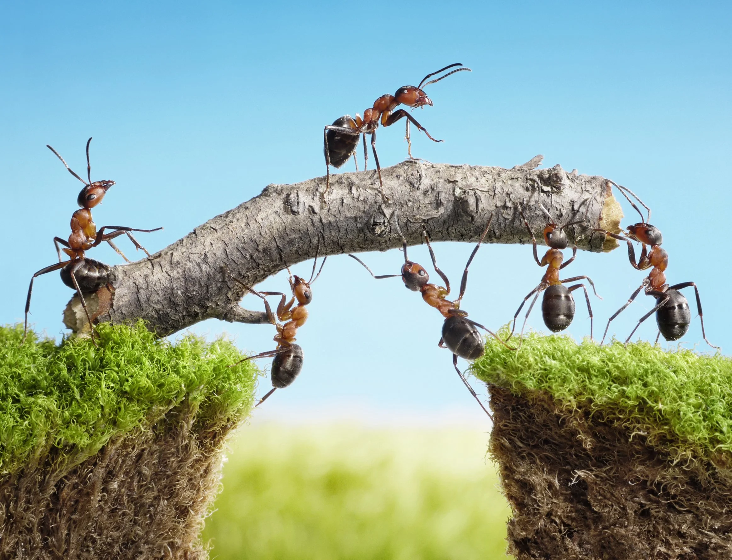 Why you need a Talent Acquisition Programme