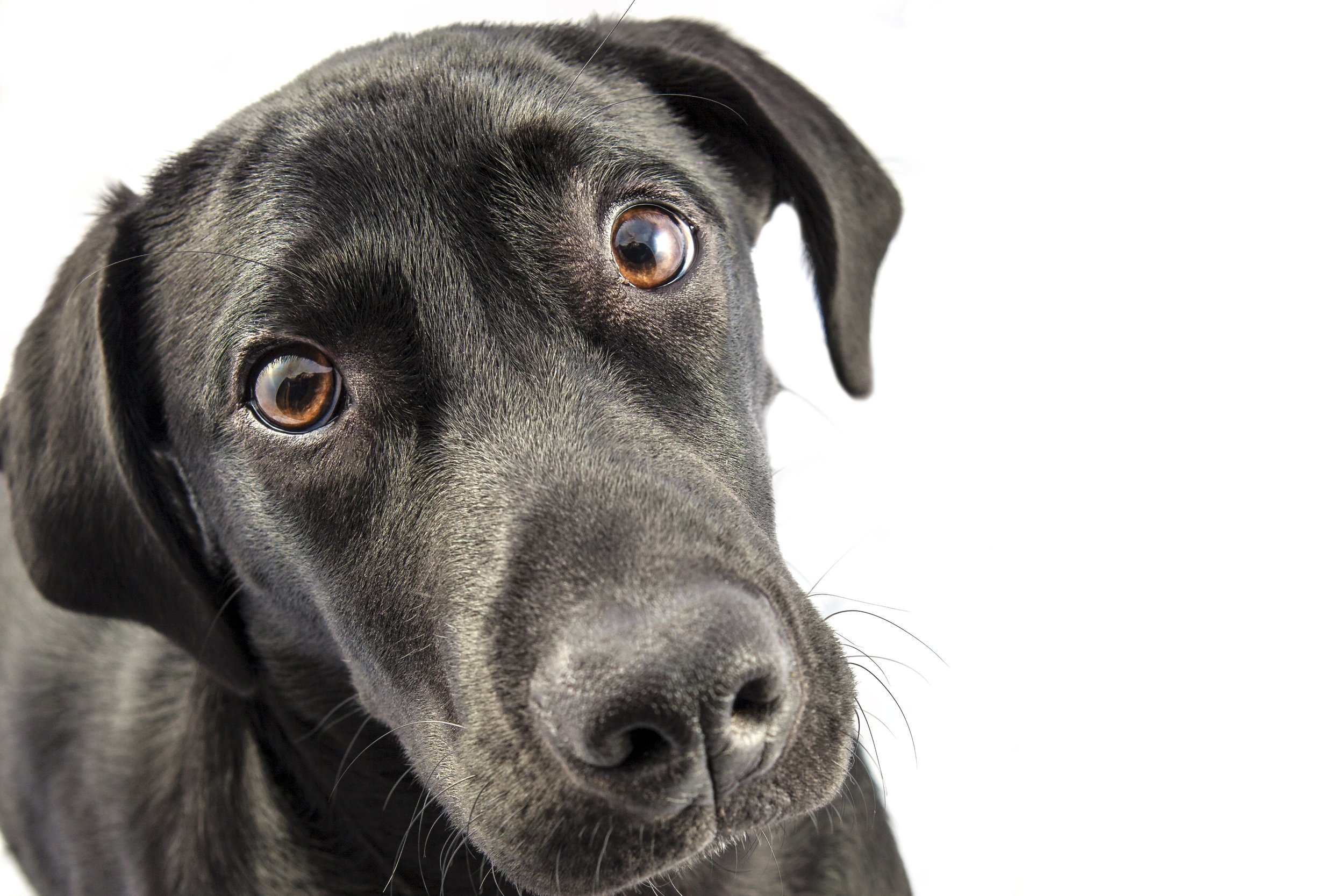 Loyalty Program? 5 Questions to think about